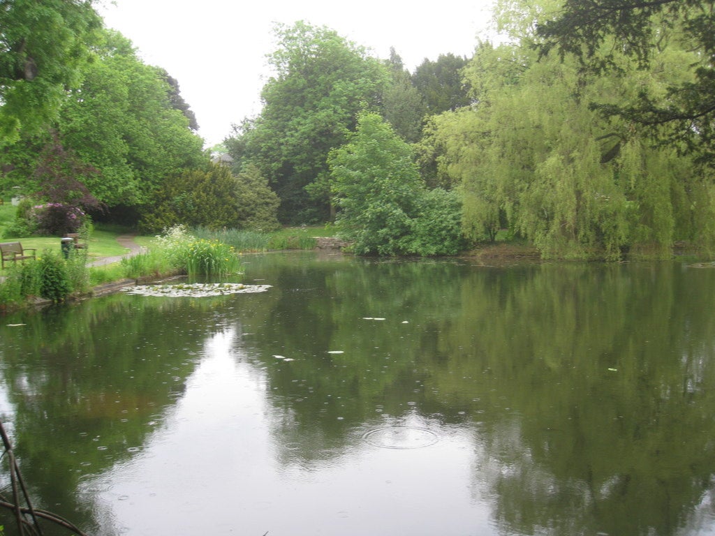 The boy was found at Swanwick Lakes, near Fareham