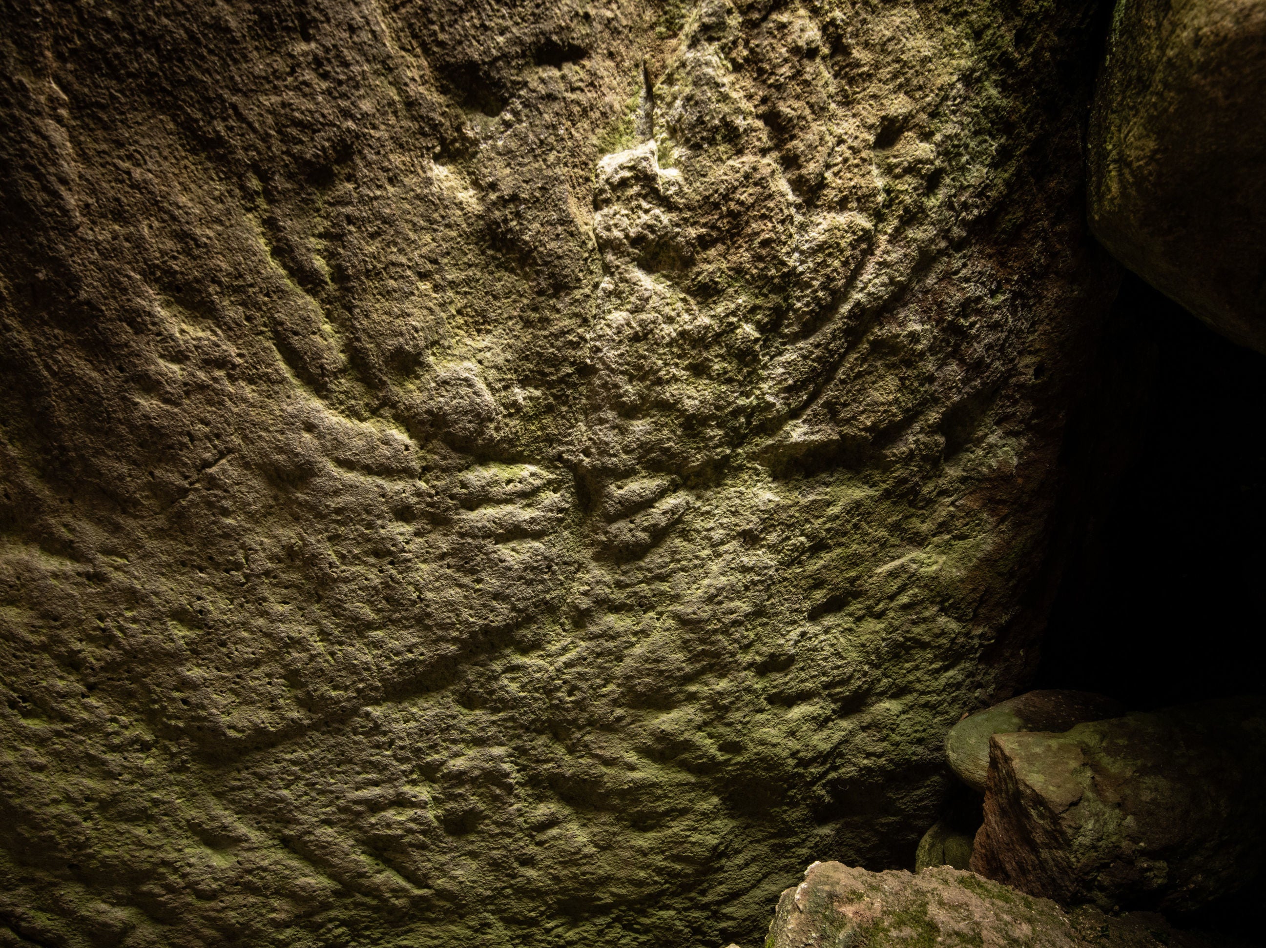 The red deer are the first animal carvings found in Scotland