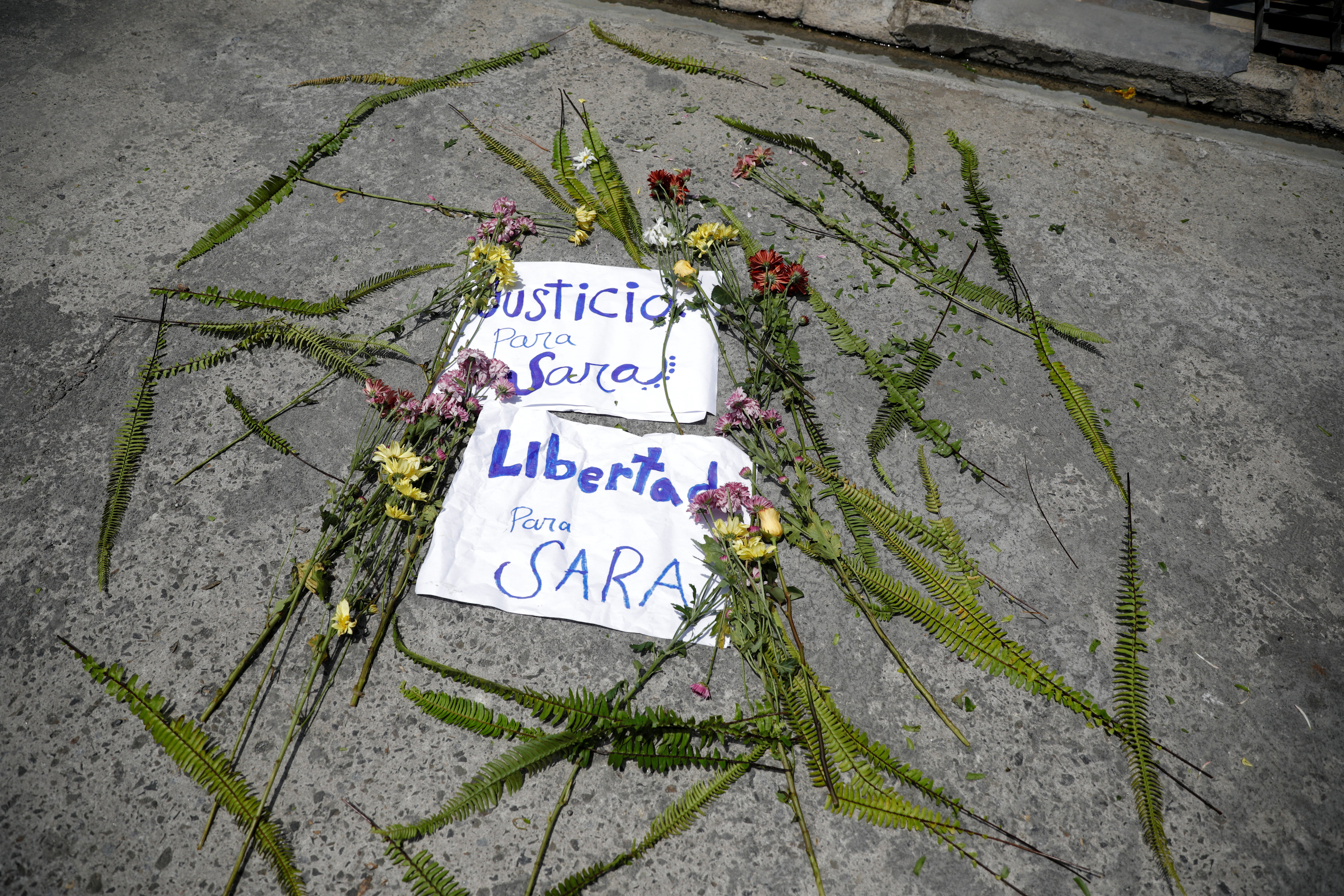 Sara Rogel was 22 years old when she was arrested in 2012