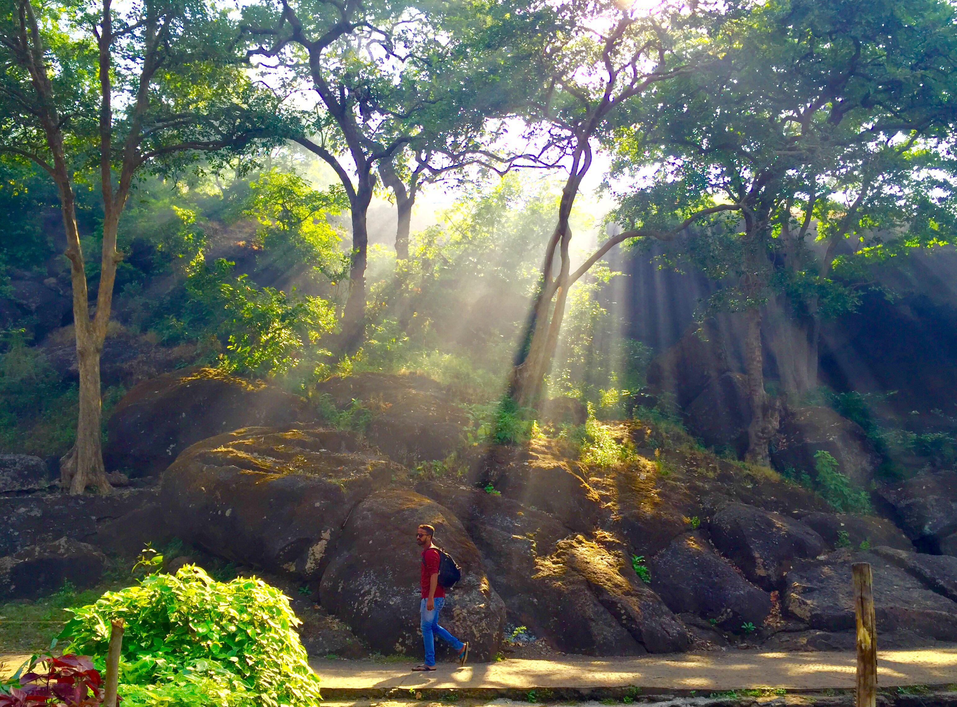 Sanjay Gandhi National Park