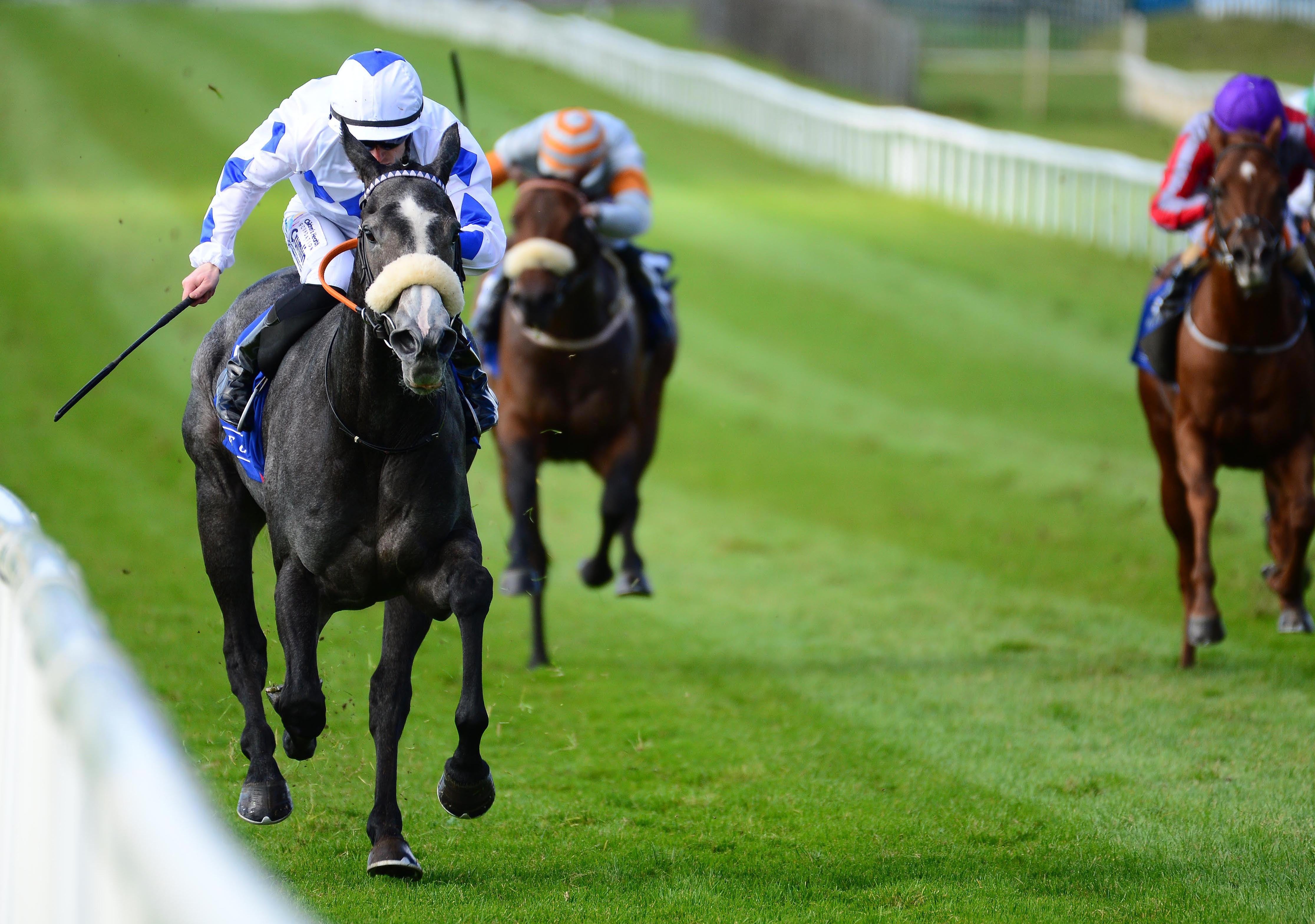 Lustown Baba (left) winning at the Curragh