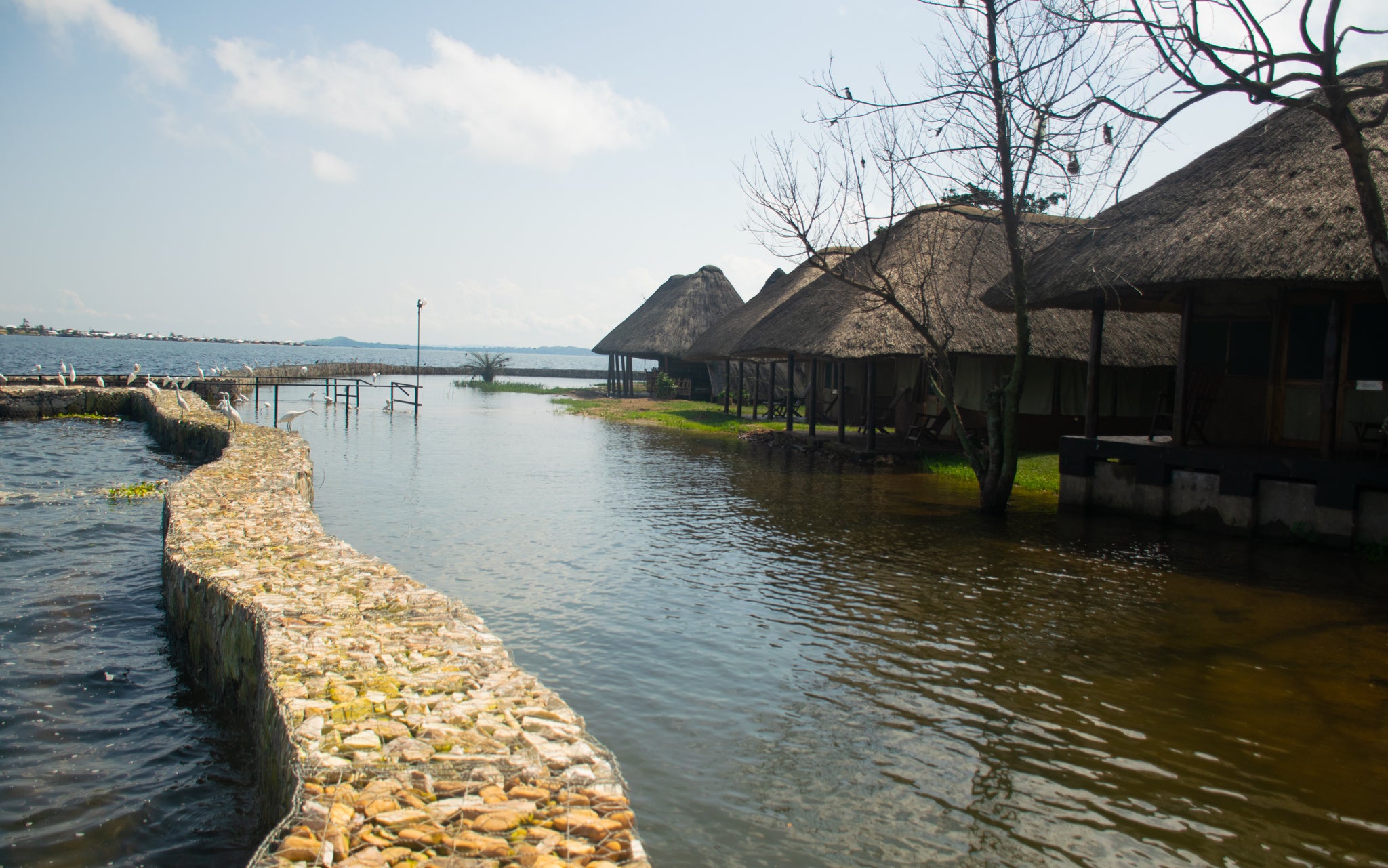 Water levels are putting the future of the reserve at risk