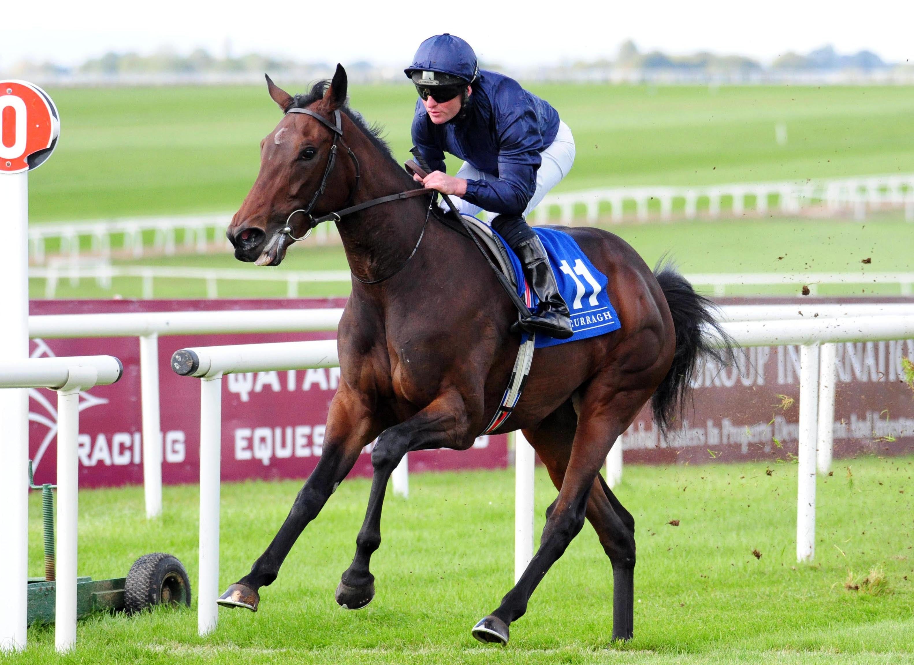 Santa Barbara winning at the Curragh