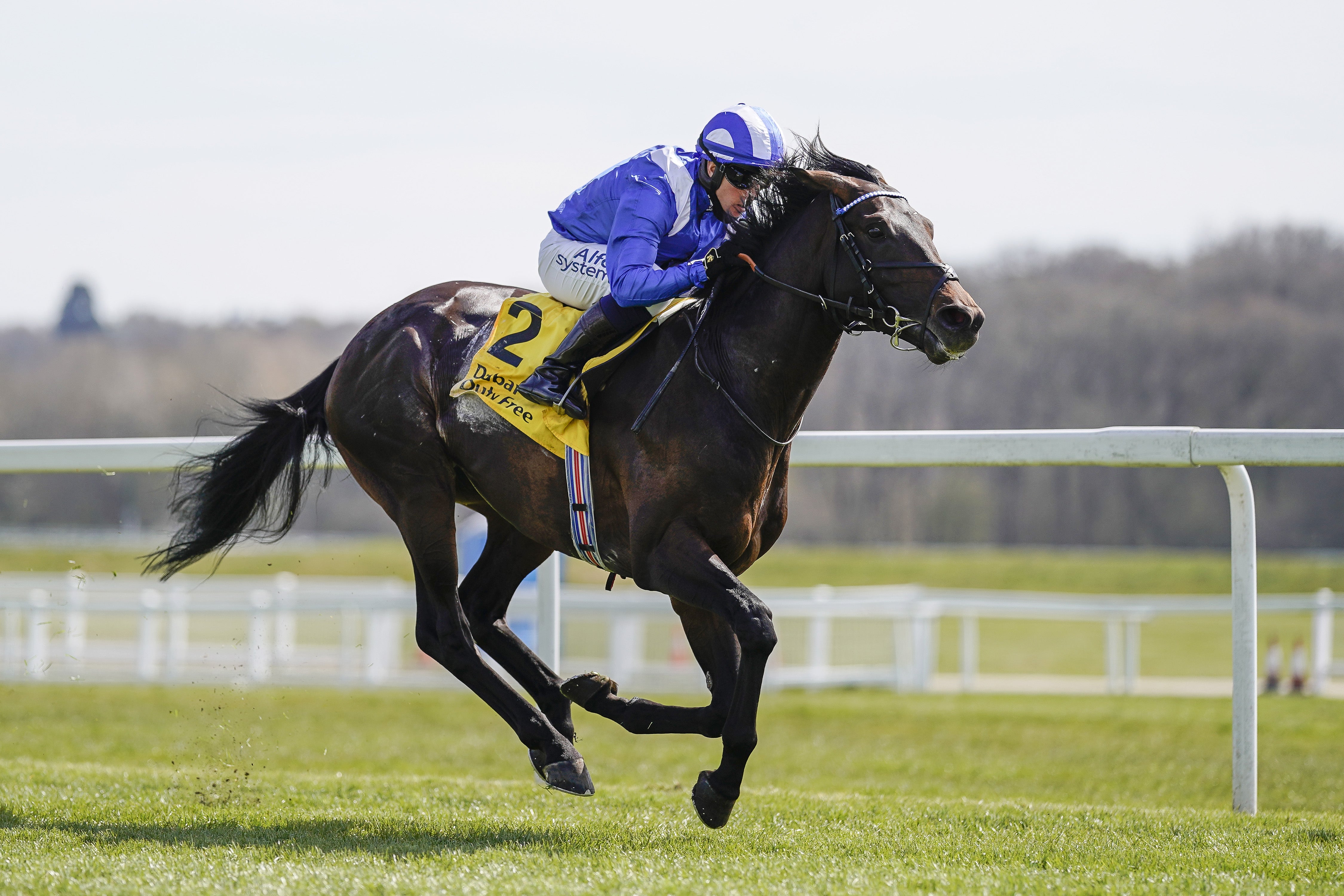 Al Aasy leads the way in the Coronation Cup