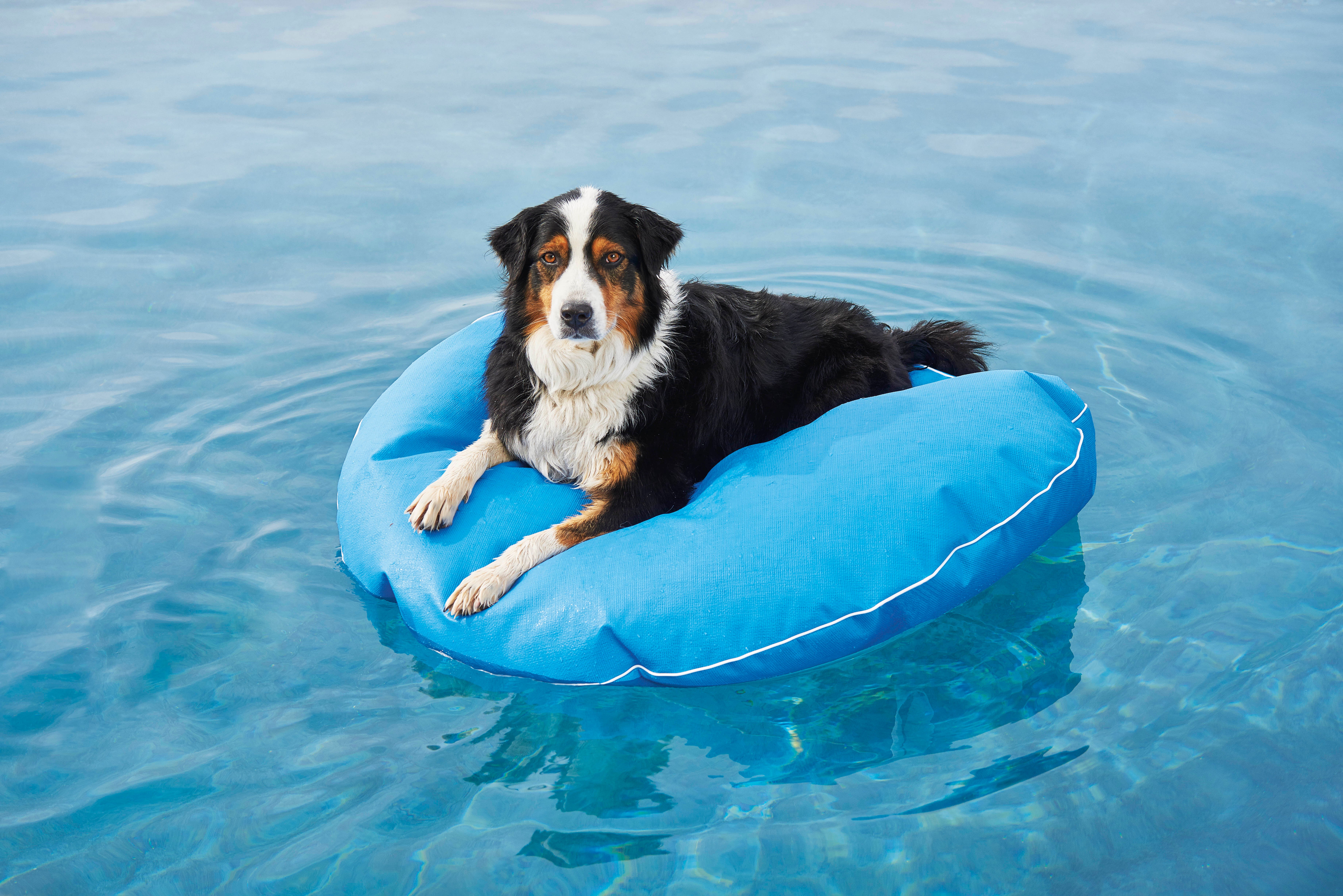 Home-Backyard Water Gear