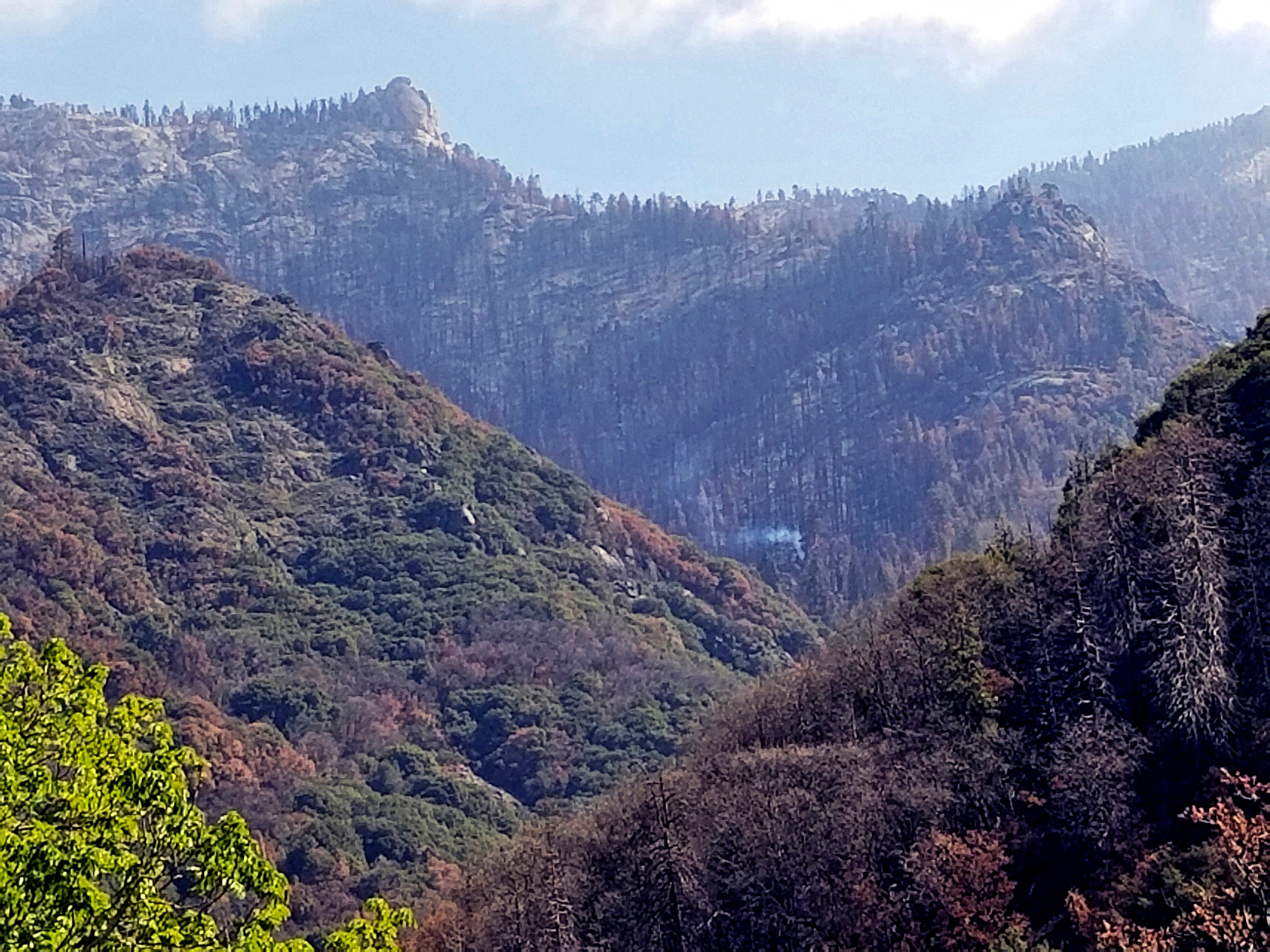 Sequoia National Park, California