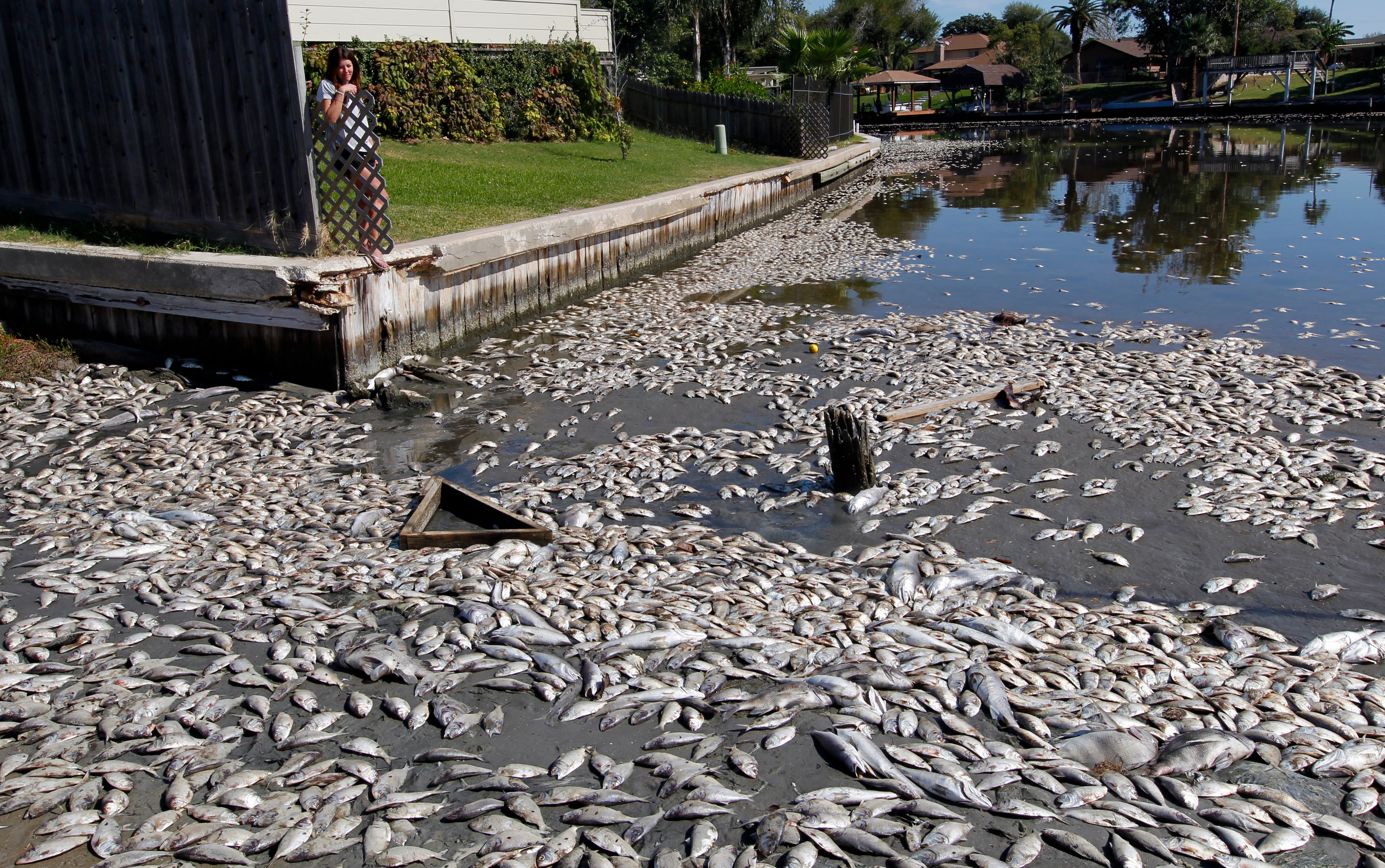 Climate Change Lakes