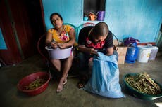 Poverty, climate change drive Guatemala's poor to migrate