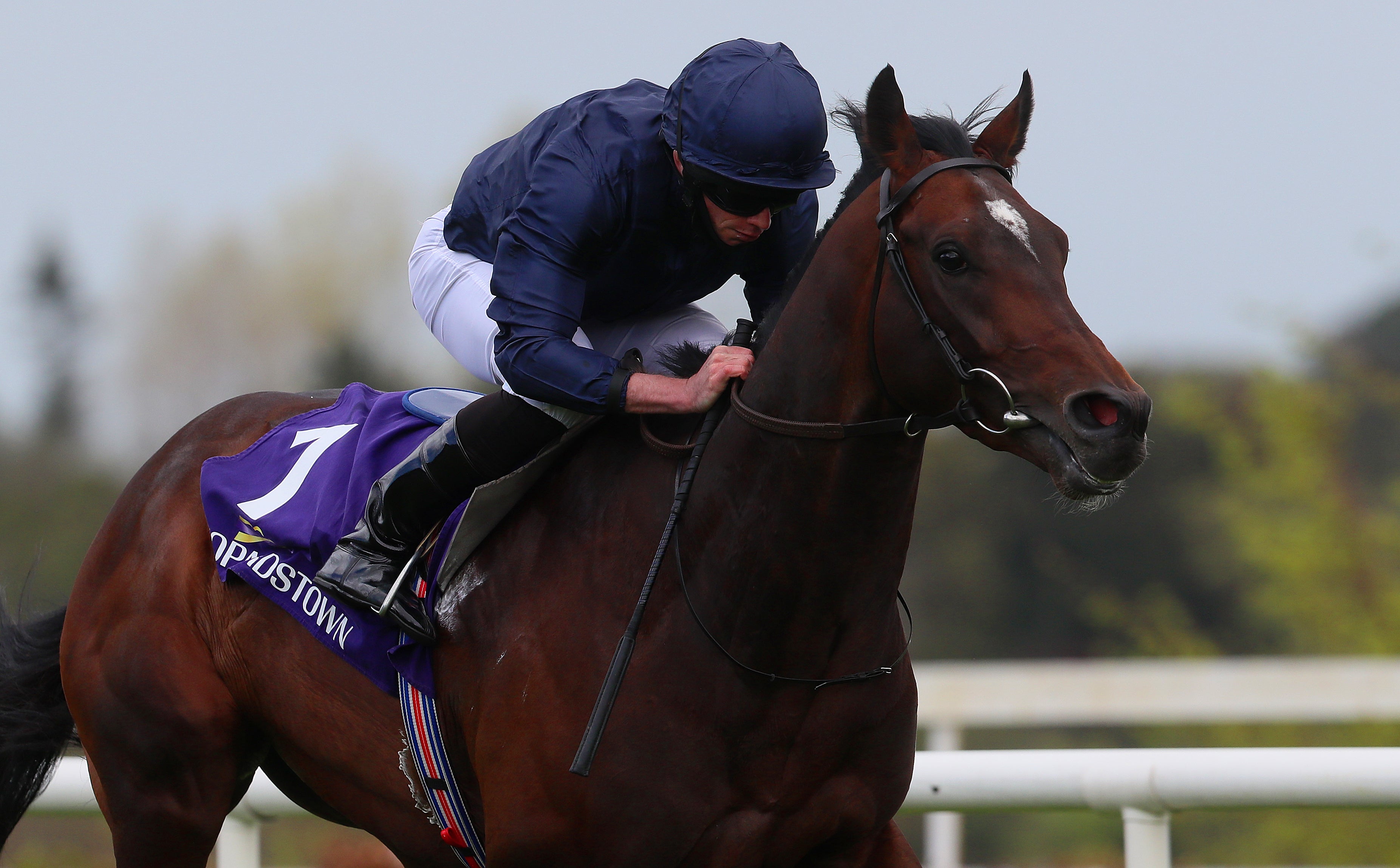 Bolshoi Ballet winning the Derrinstown Stud Derby Trial at Leopardstown