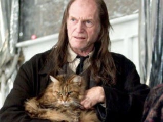 Argus Filch (David Bradley) and his cat Mrs Norris in the ‘Harry Potter’ franchise