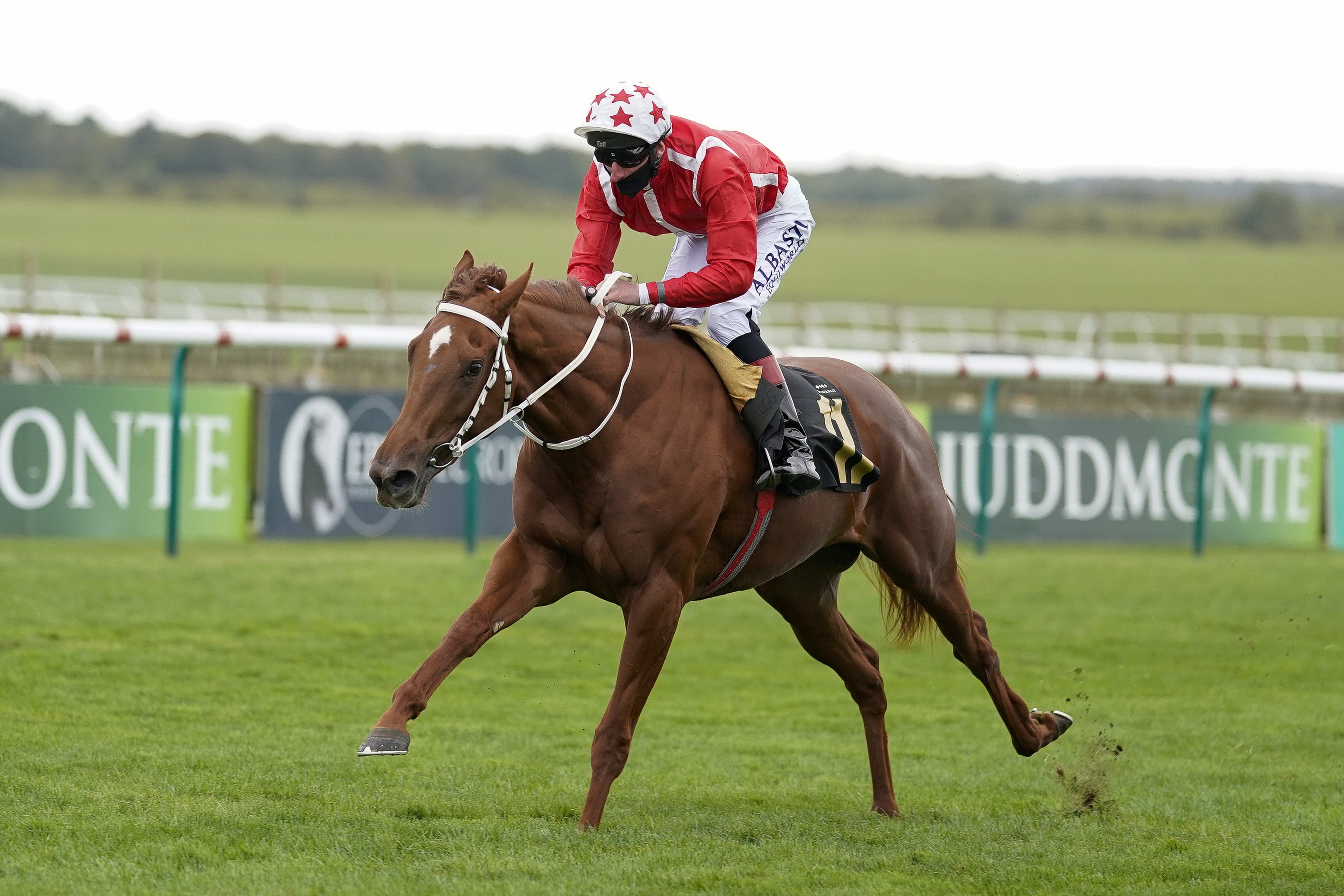 Saffron Beach winning at Newmarket