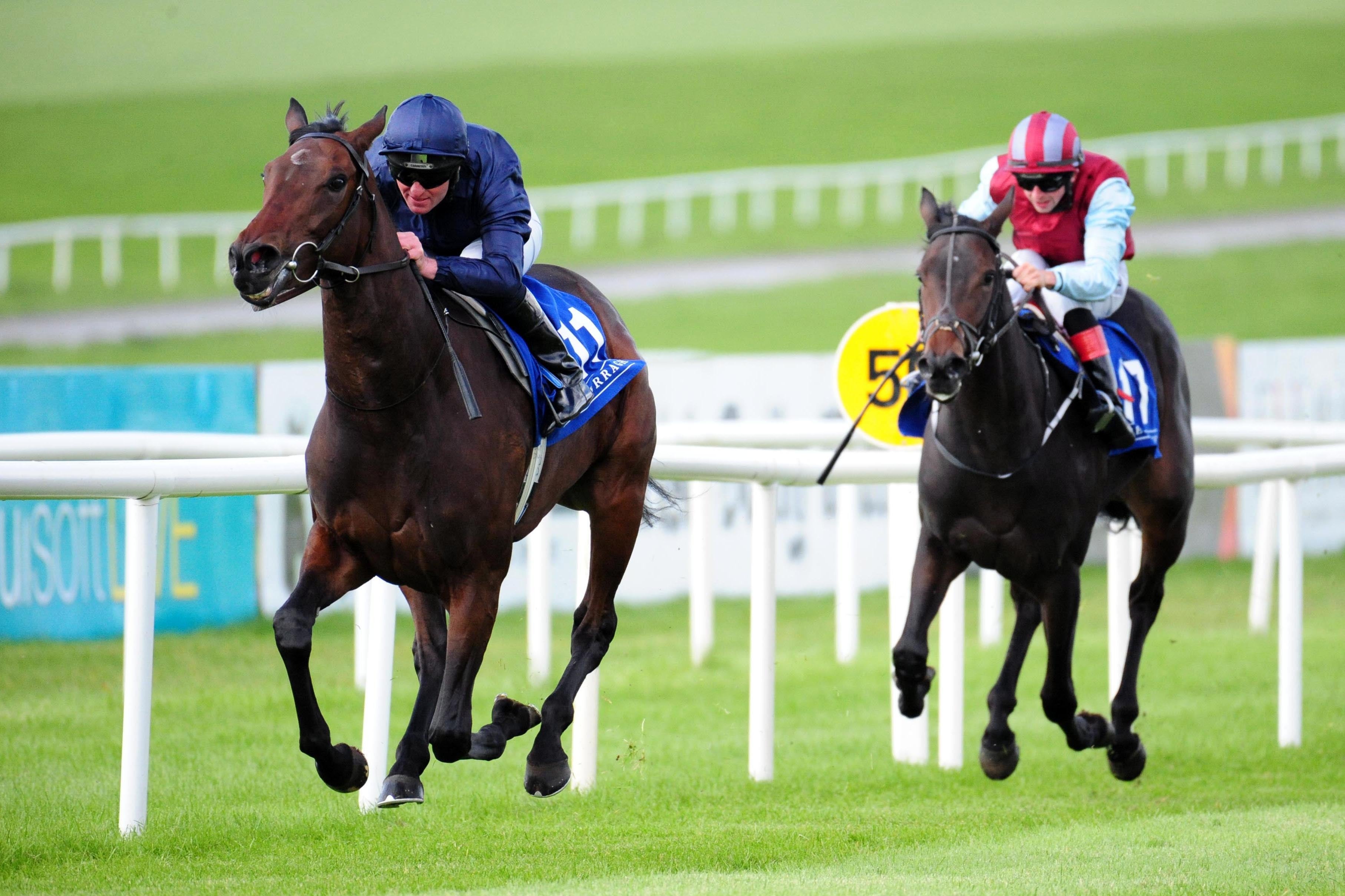 Santa Barbara (left) in winning action at the Curragh