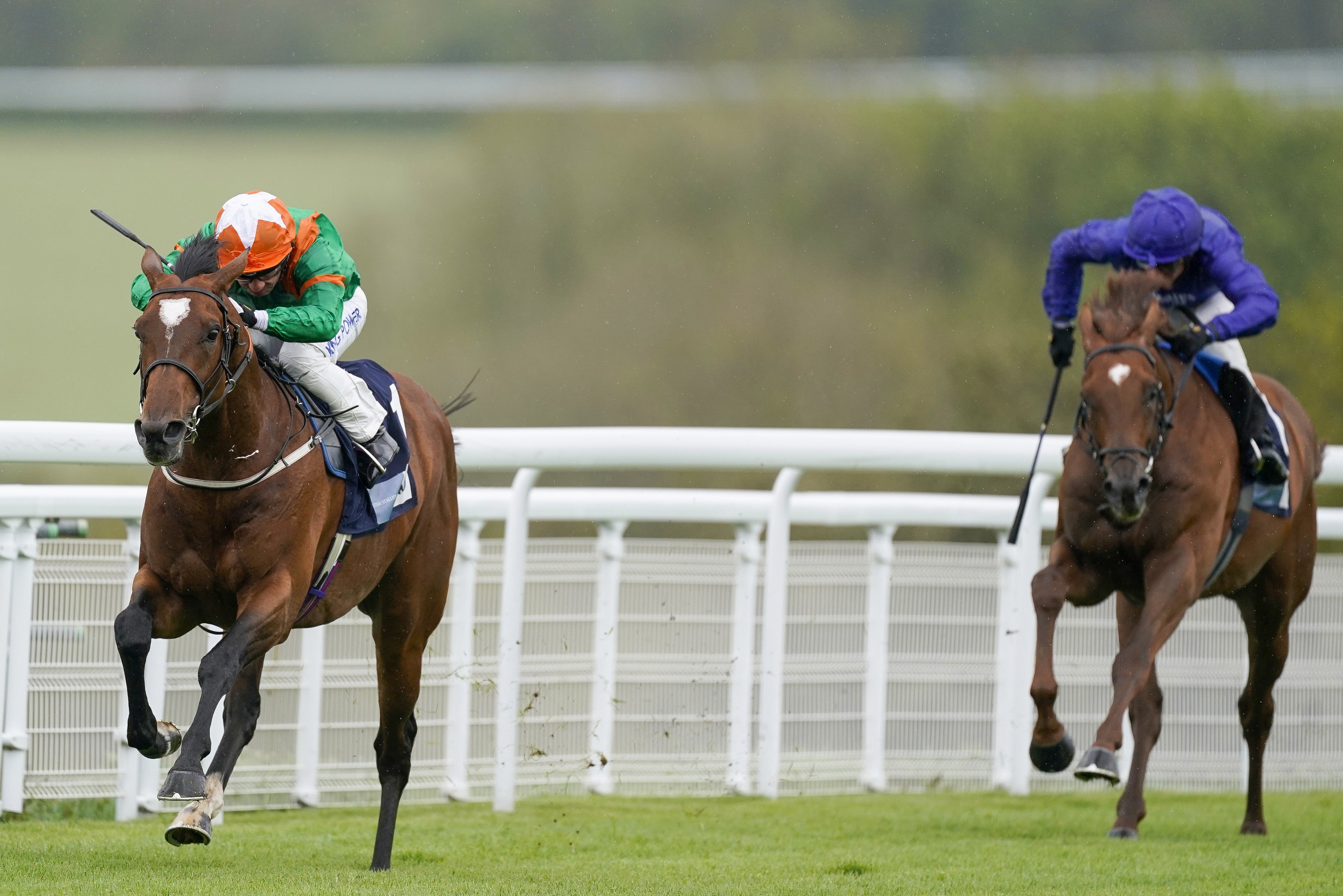 Lone Eagle (left) has been forced to miss the Cazoo Derby but could go for the Irish equivalent