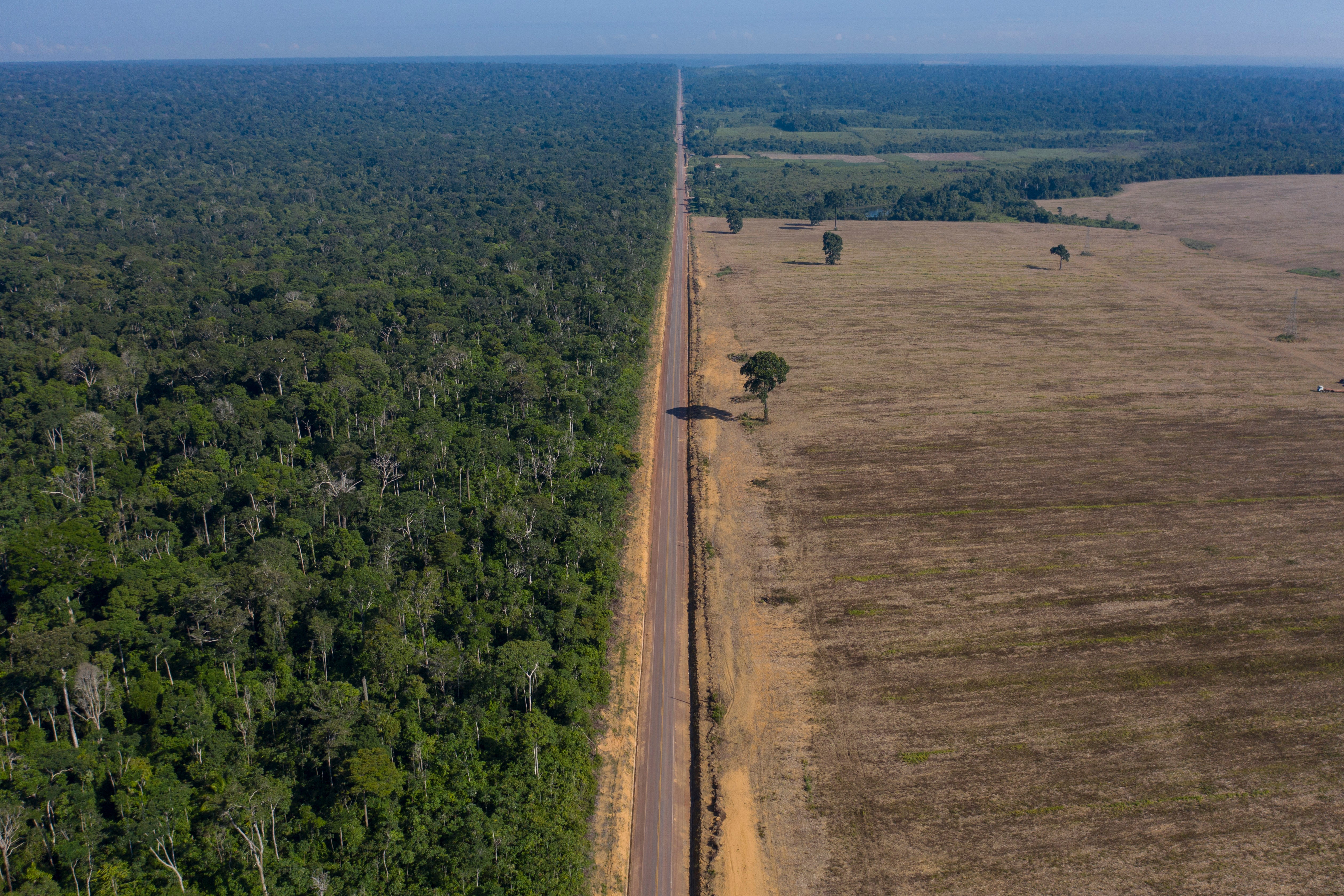 Brazil Amazon Deforestation