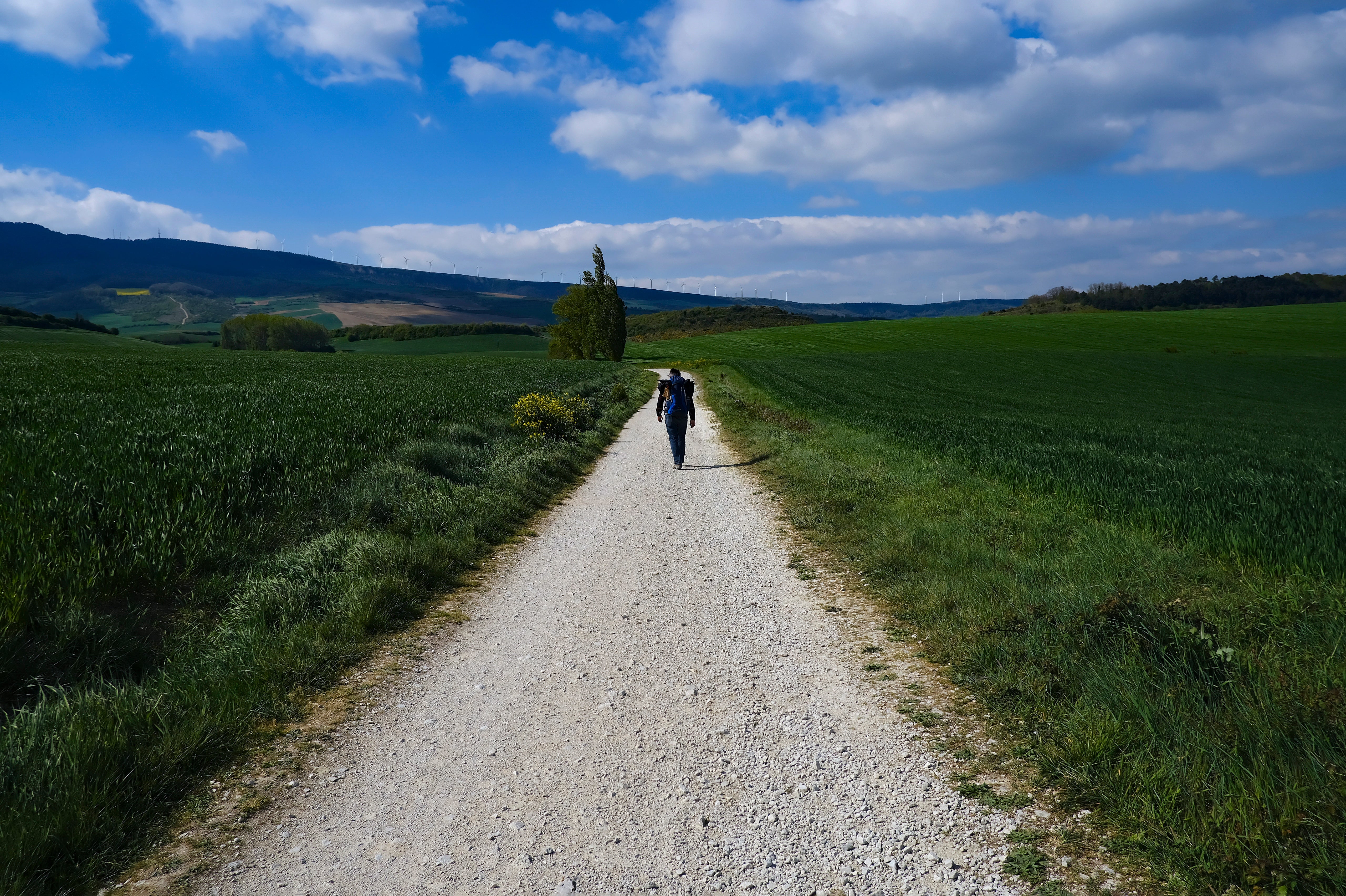 Virus Outbreak Spain Pilgrim's Path