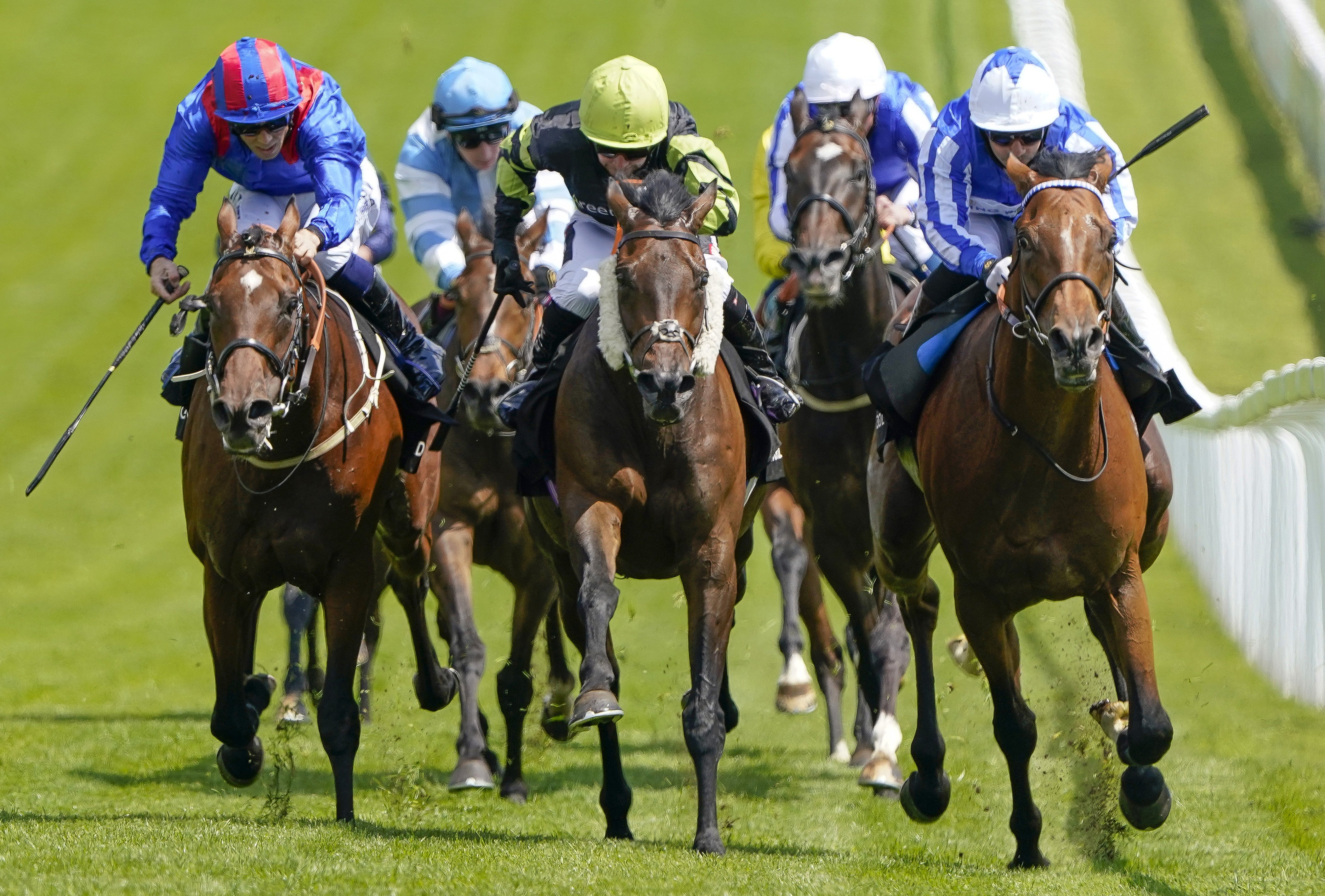 Solent Gateway (centre) on his way to winning at Epsom