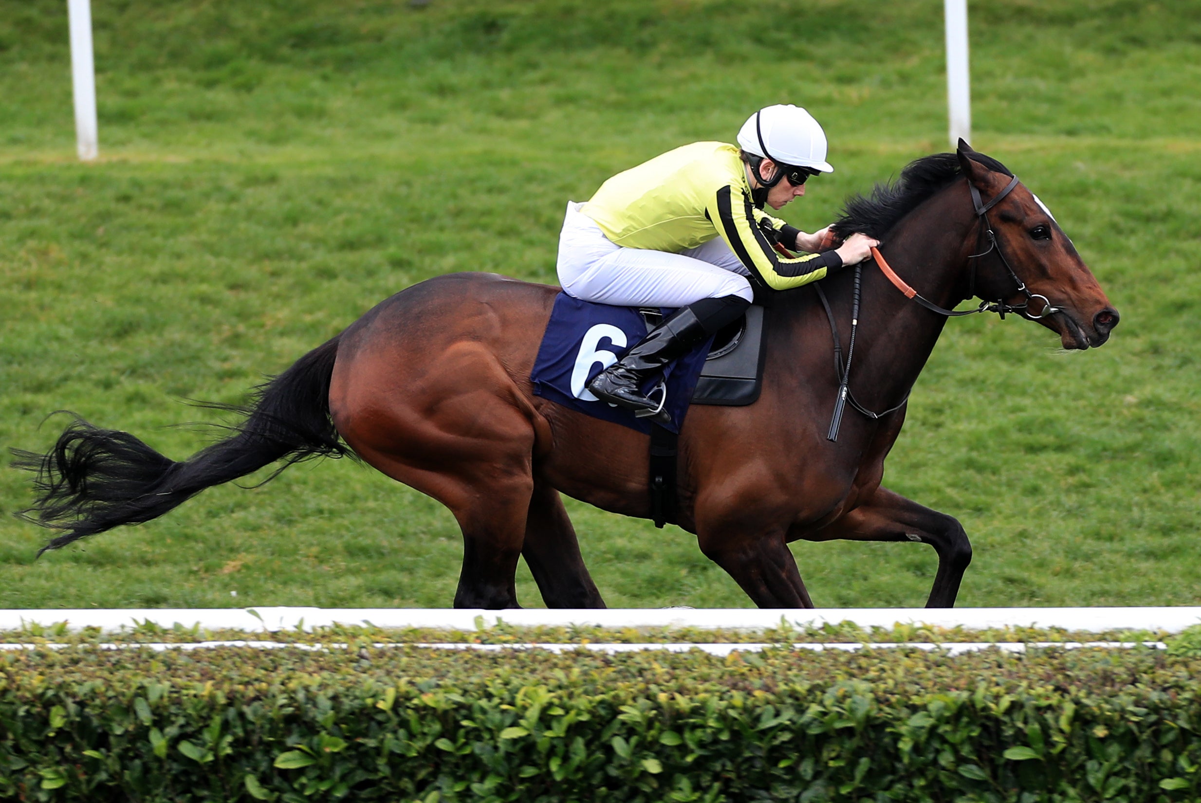 George Peabody, ridden by Callum Shepherd, on his way to winning the Unibet Novice Stakes (Div 1) at Doncaster Racecourse