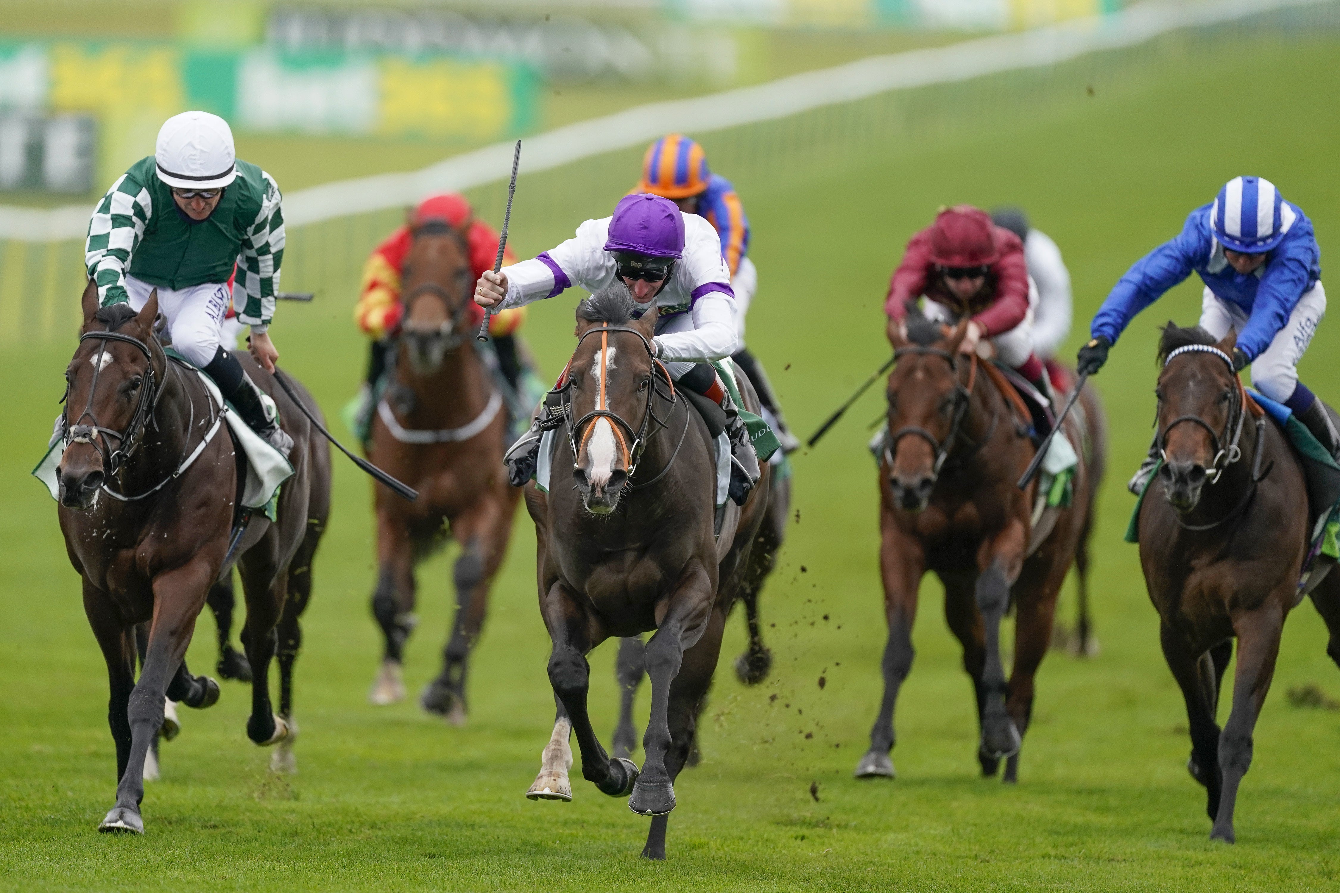 Supremacy (centre) heads Clive Cox's Royal Ascot team