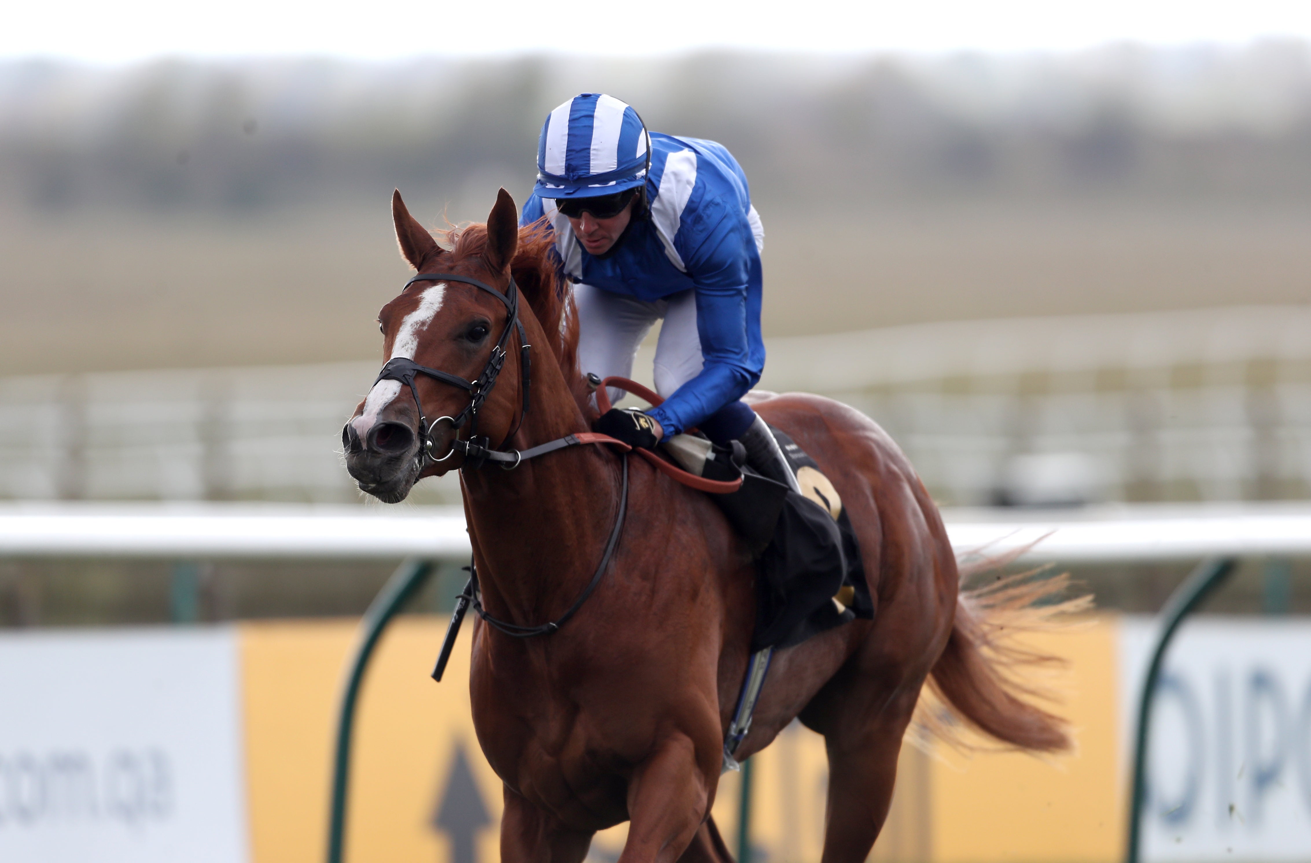 Mohaafeth on his way to winning at Newmarket