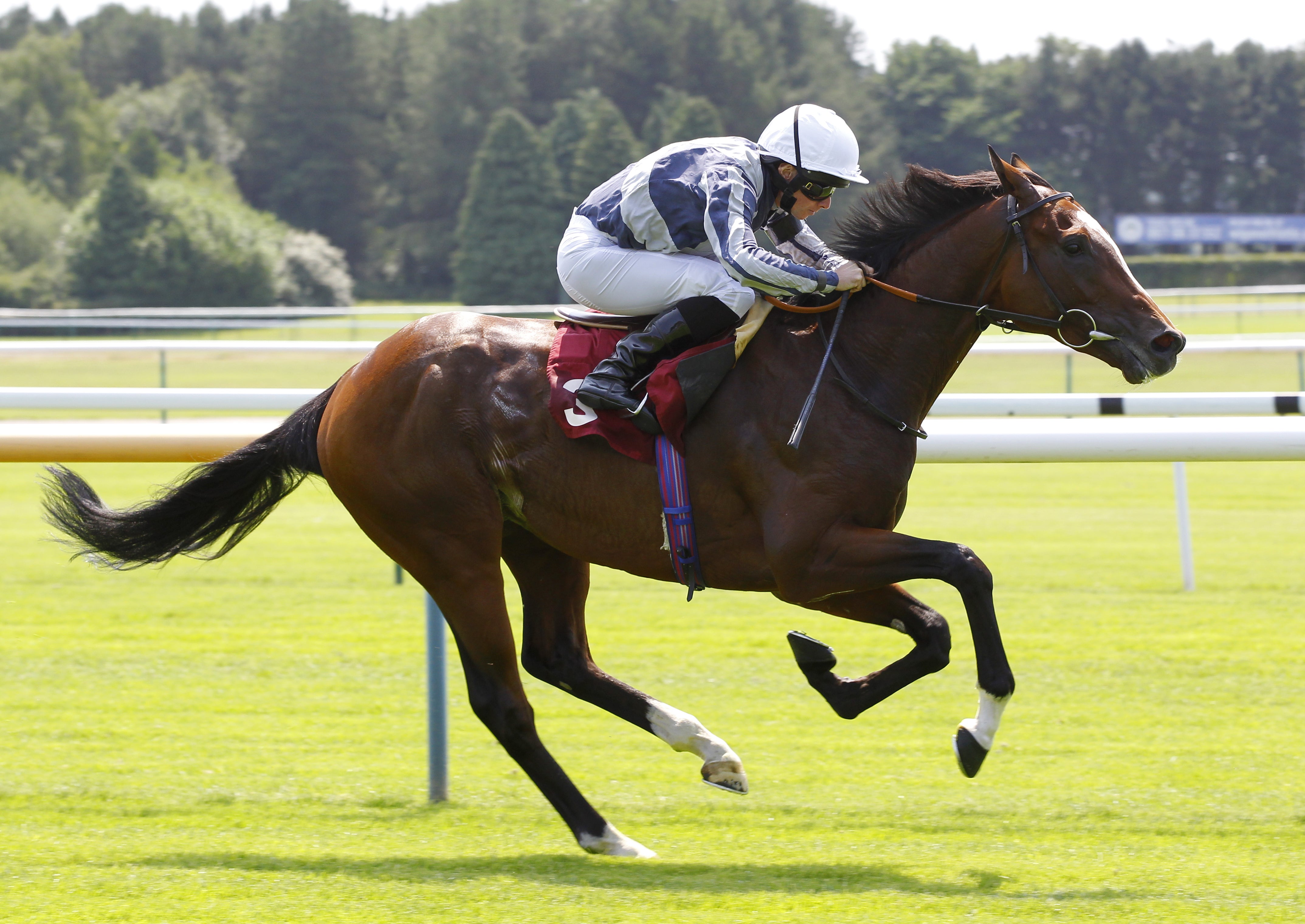 Highest Ground winning at Haydock