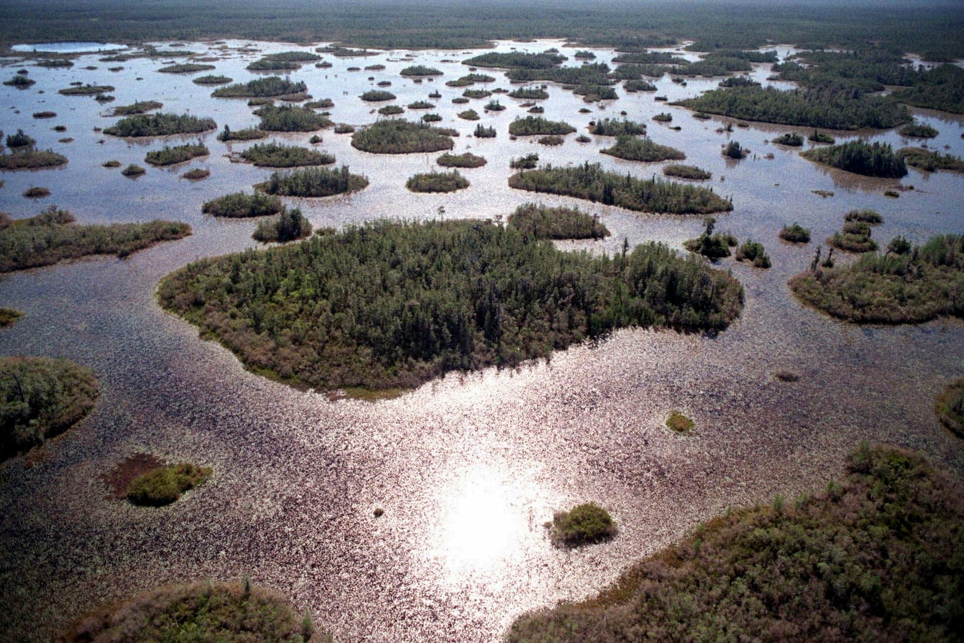 Okefenokee Mining Plan