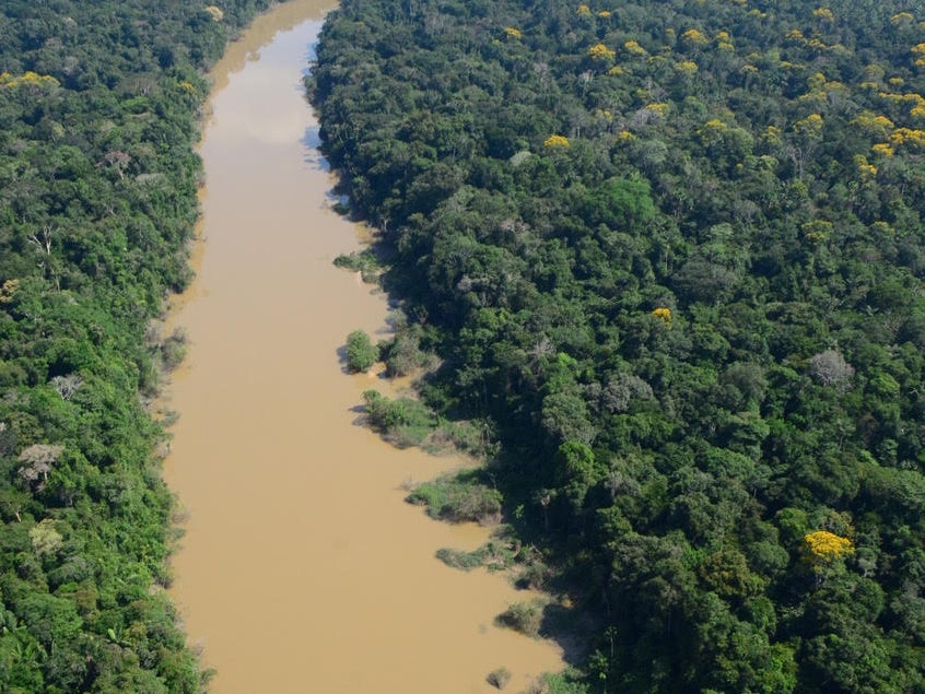 Researchers analysed soil in three remote sites in northeastern Peru (pictured)