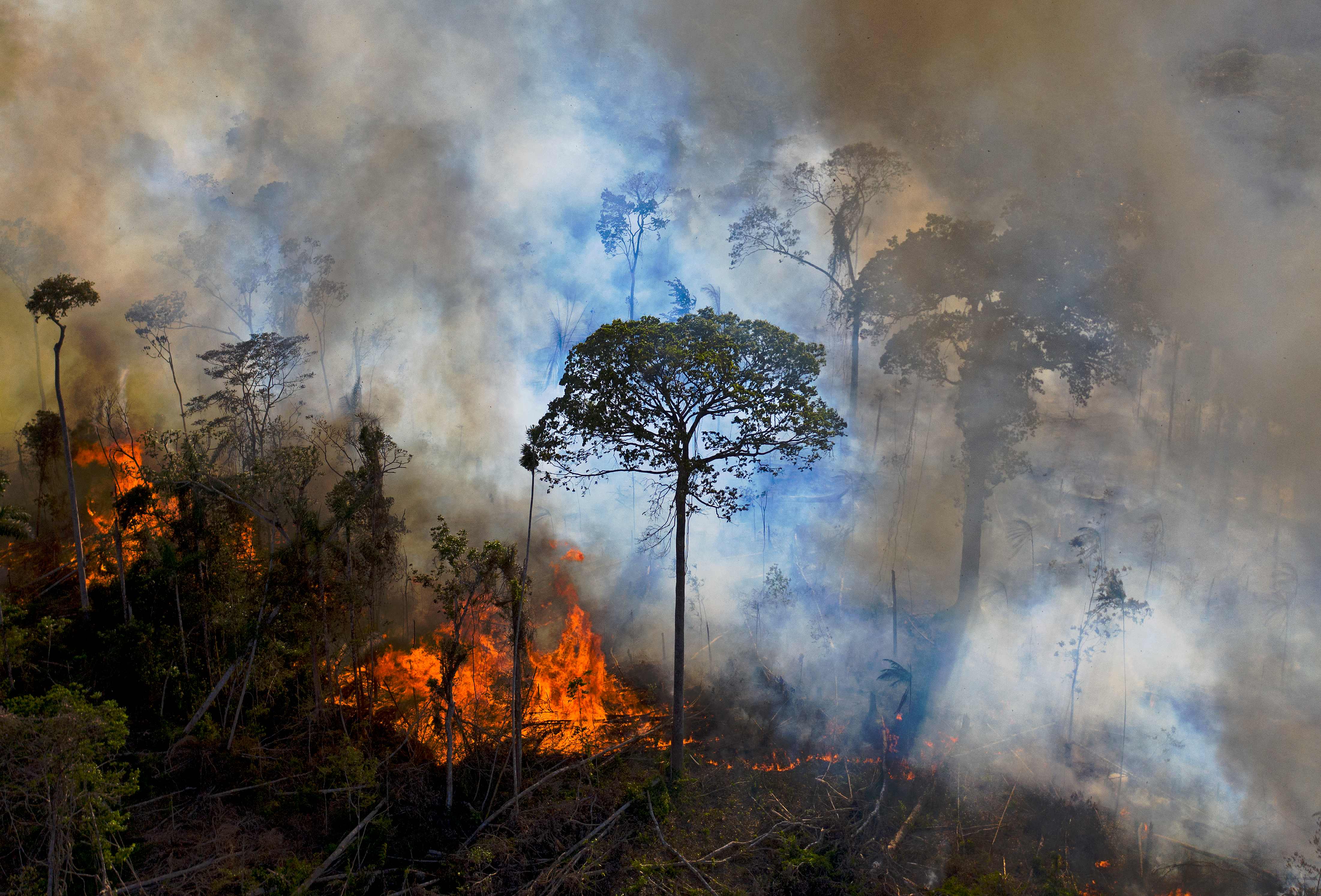 Smoke rises from an illegally lit fire in Amazon rainforest reserve, in August 2020