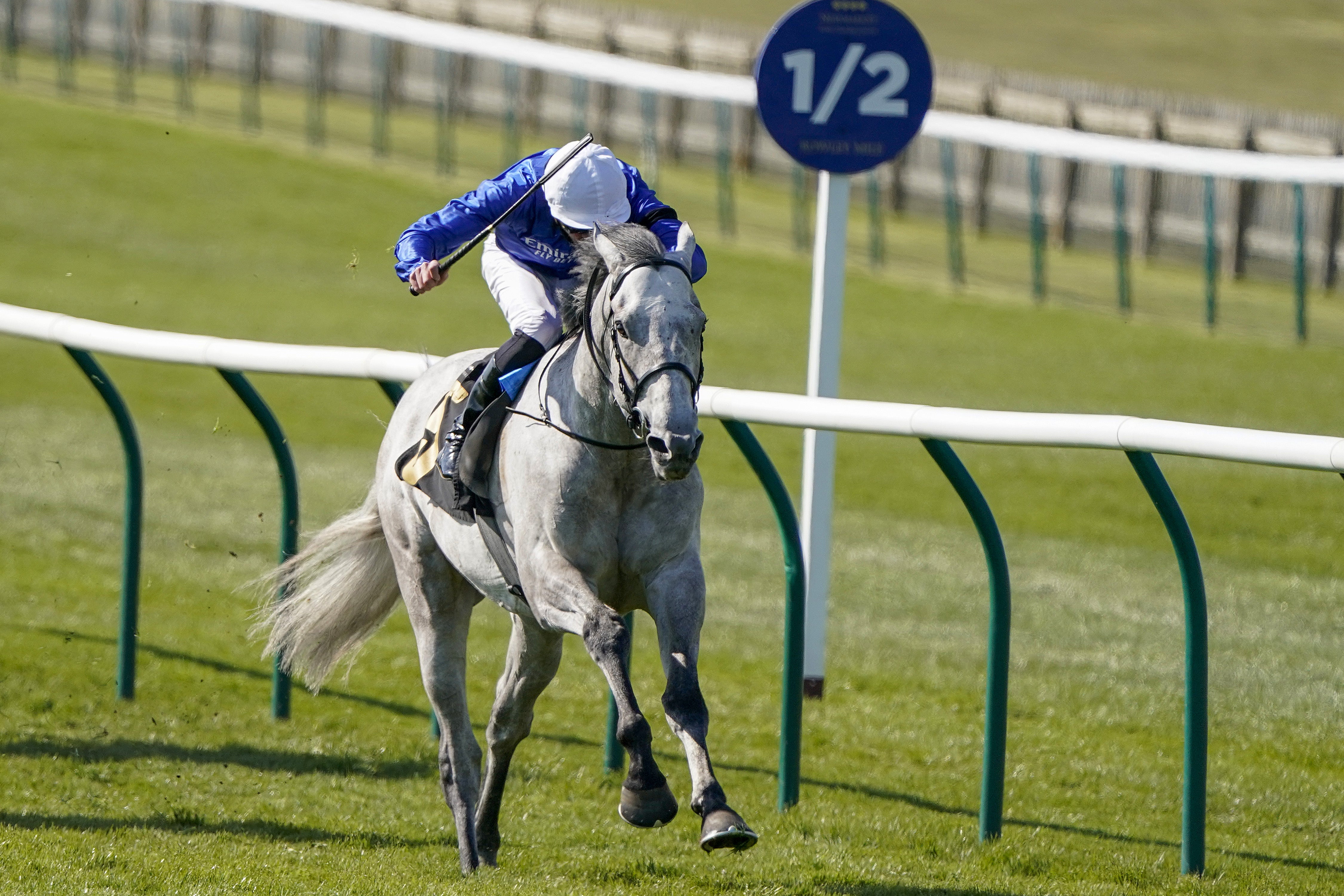 Highland Avenue is on course for the St James's Palace Stakes at Royal Ascot