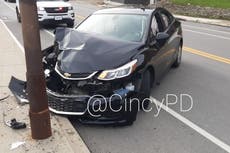 Cicada blamed for car crash in Ohio