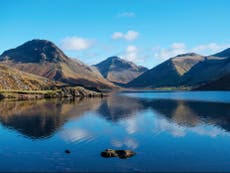 Rewild national parks to tackle climate and biodiversity crisis, government told