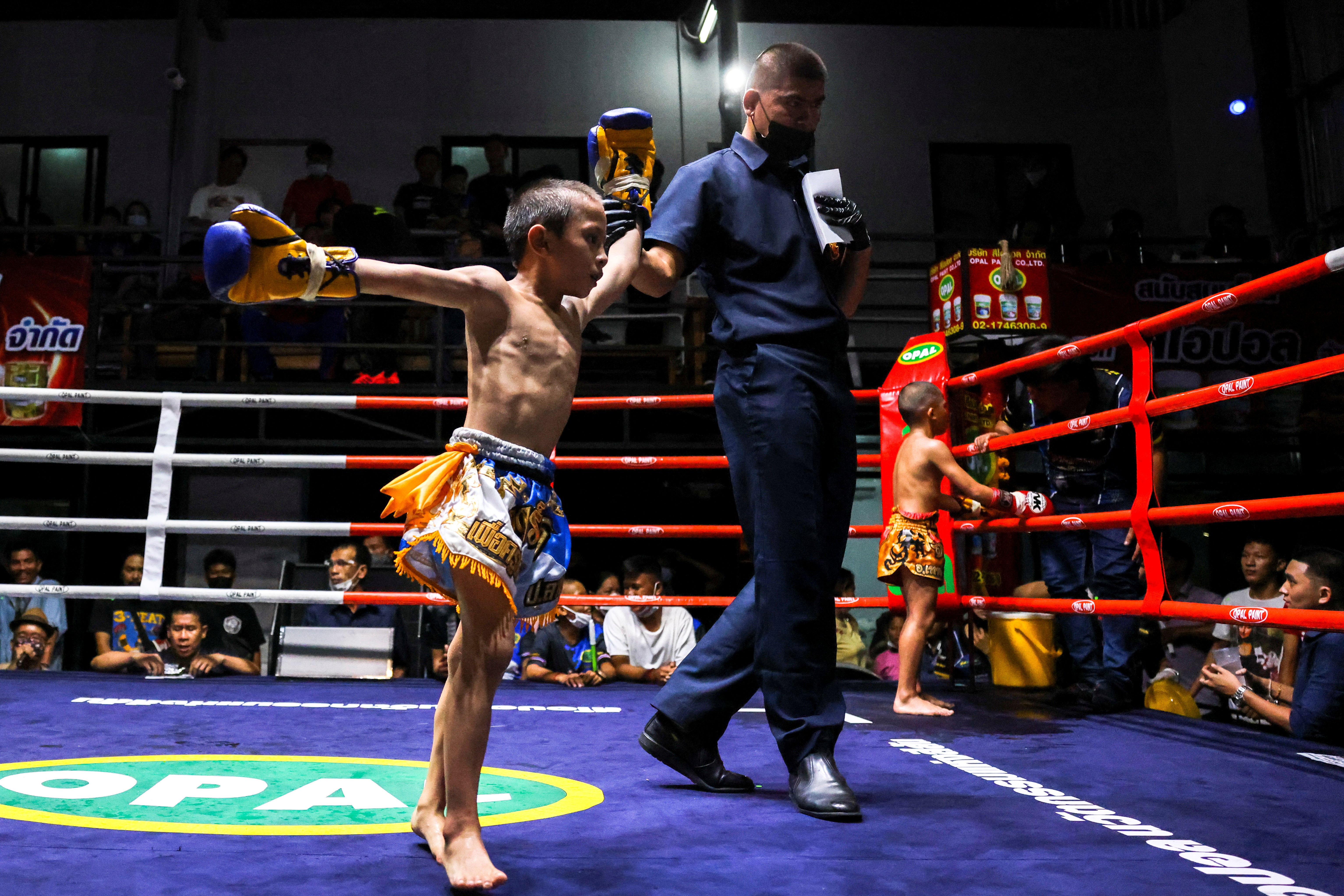 Tata celebrates after winning a boxing match