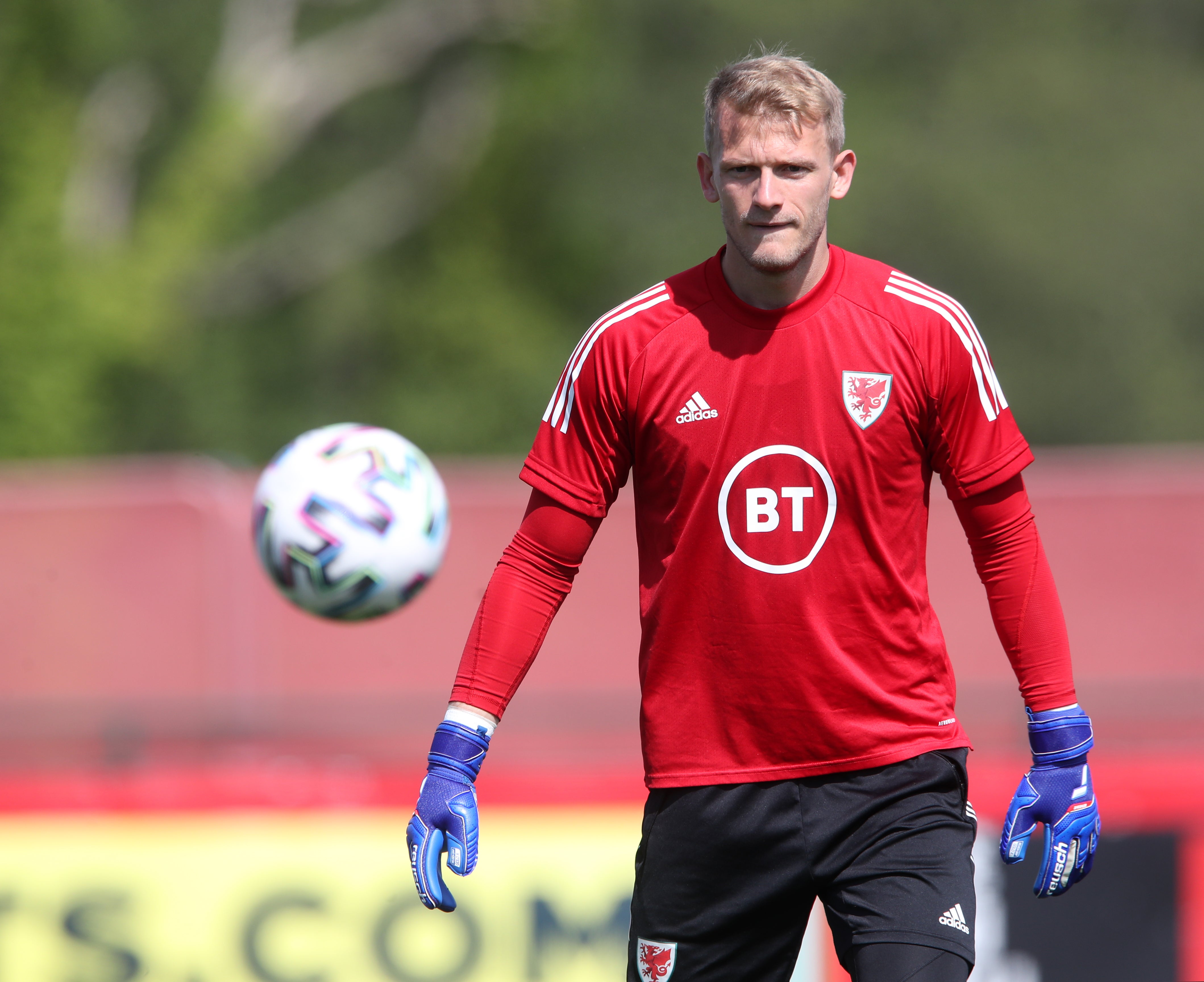 Wales goalkeeper Adam Davies