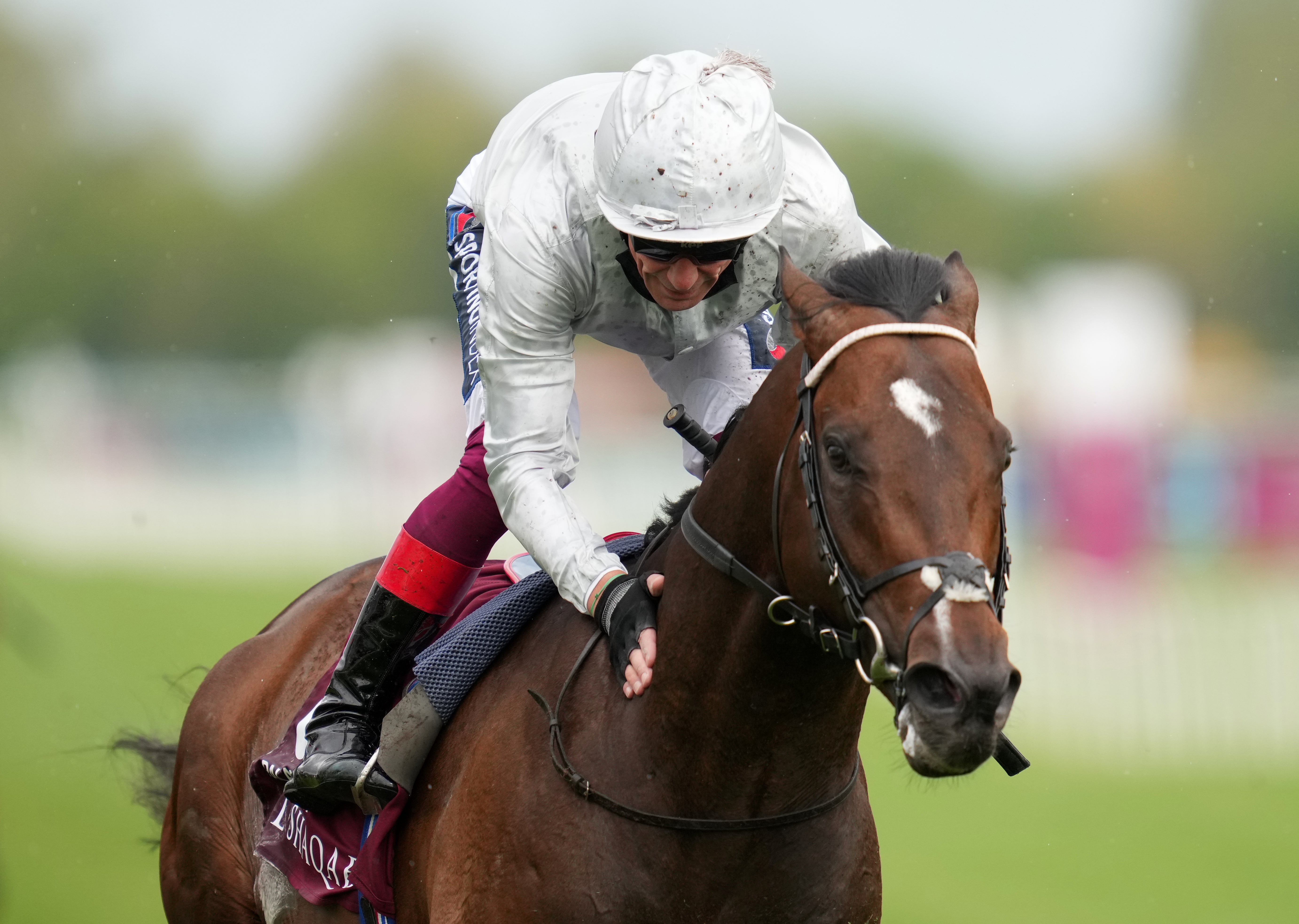 Palace Pier winning the Lockinge Stakes at Newbury