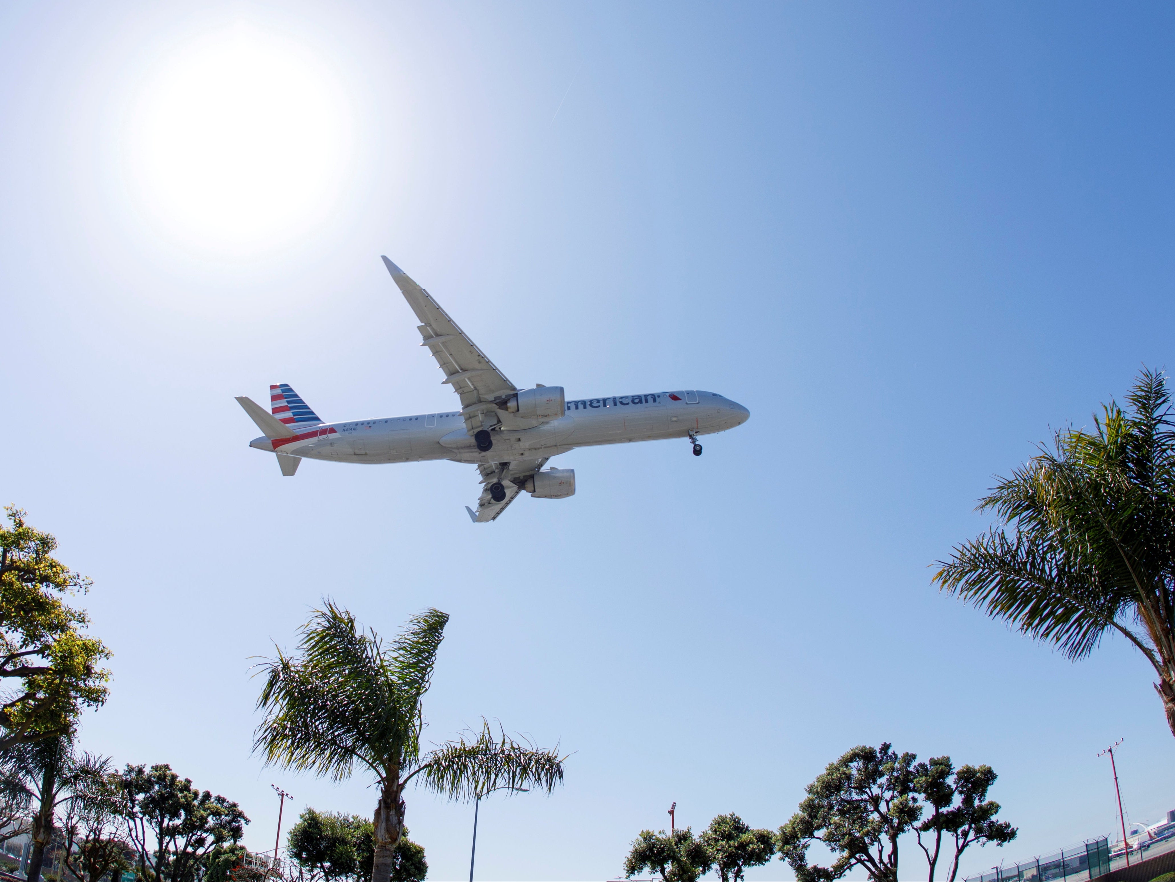 American Airlines CEO goes to flight attendant’s wedding after bonding over chat about race mid flight