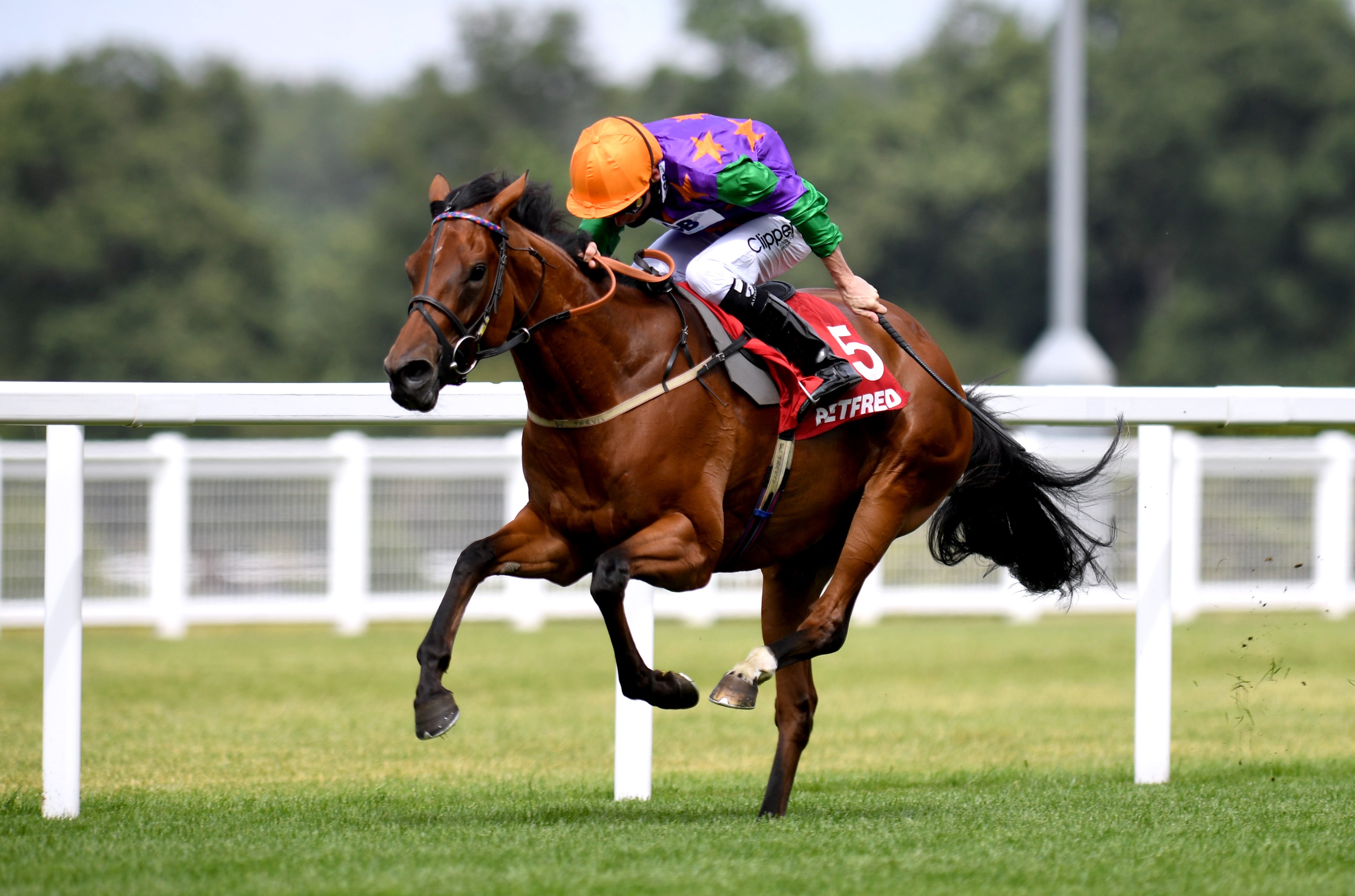 Lady Bowthorpe runs in the Duke of Cambridge