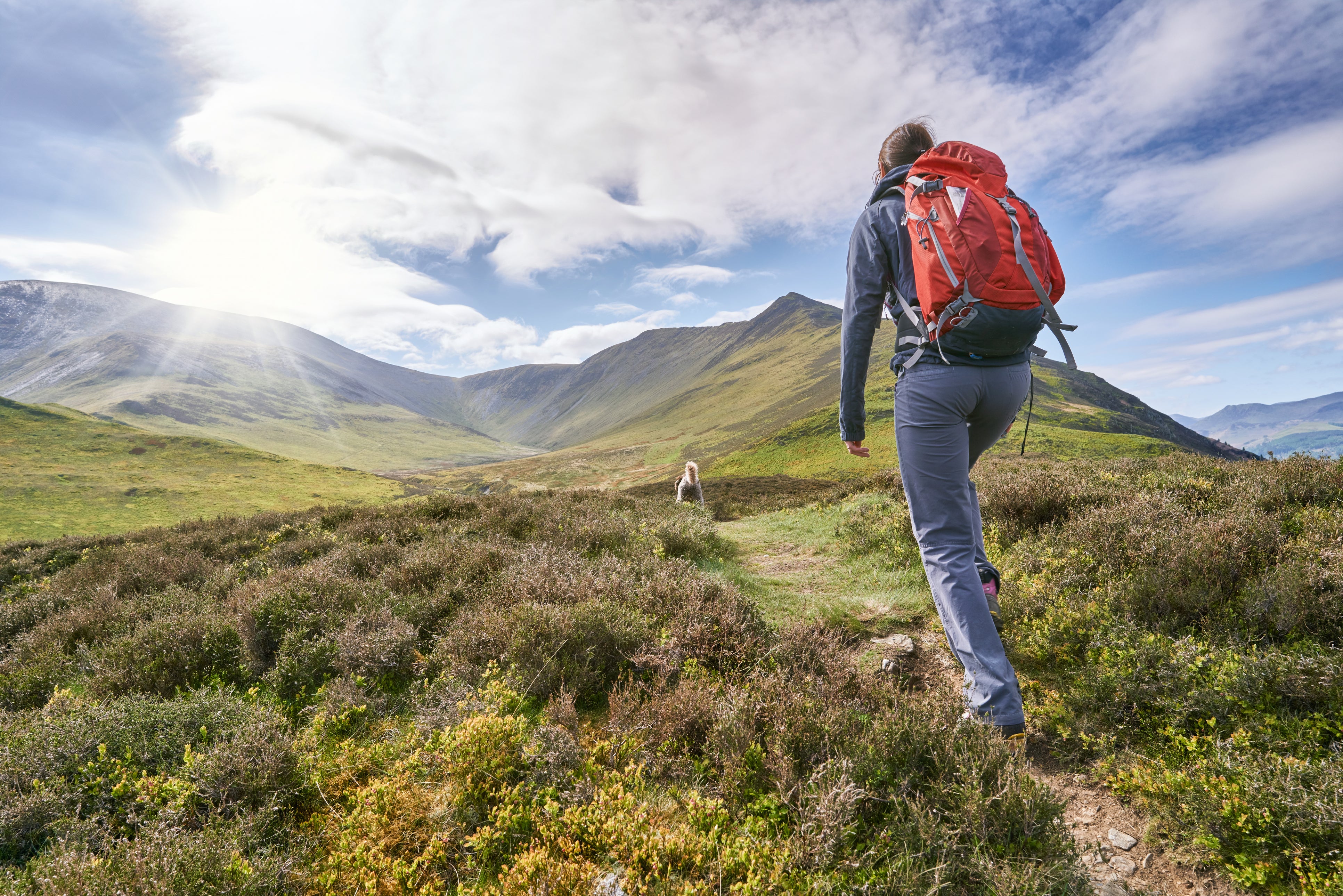 Hiking is also beneficial even for those with pre-existing health conditions and chronic diseases such as dementia, type 2 diabetes