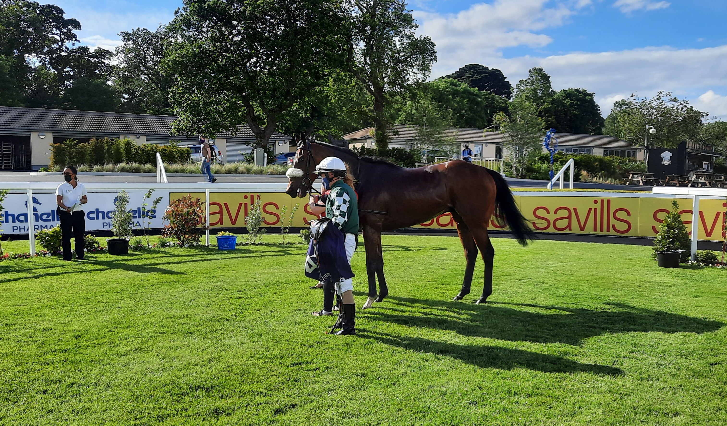 Real Appeal following his Leopardstown win
