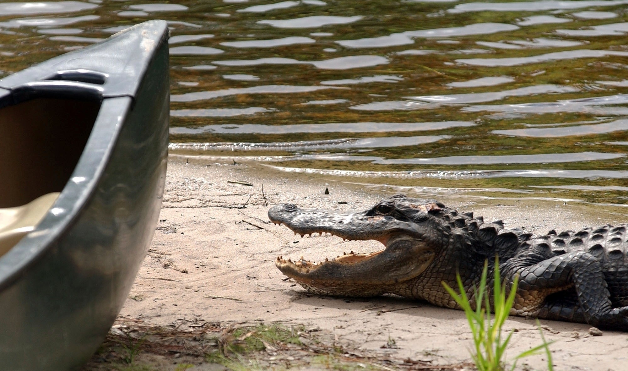 Okefenokee Mining Plan