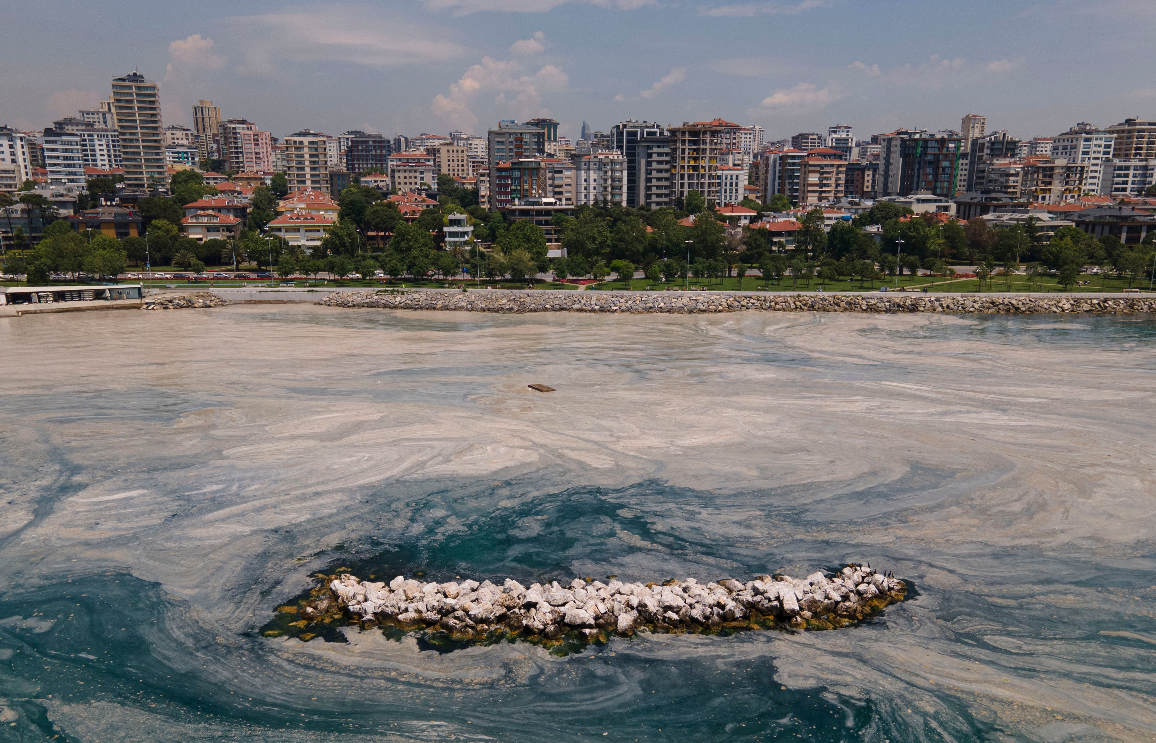 Turkey Sea Snot