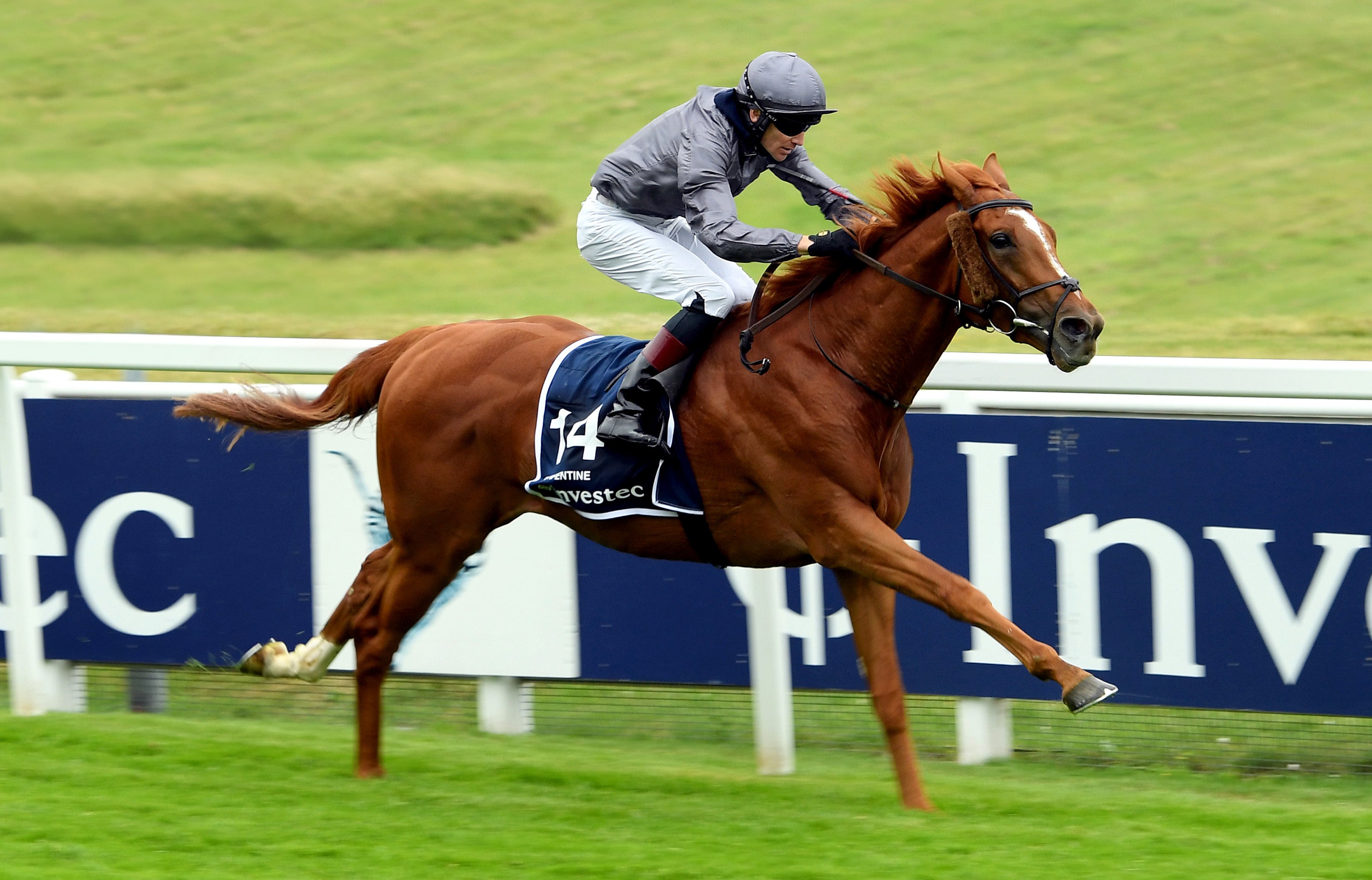 Serpentine won last year's Derby