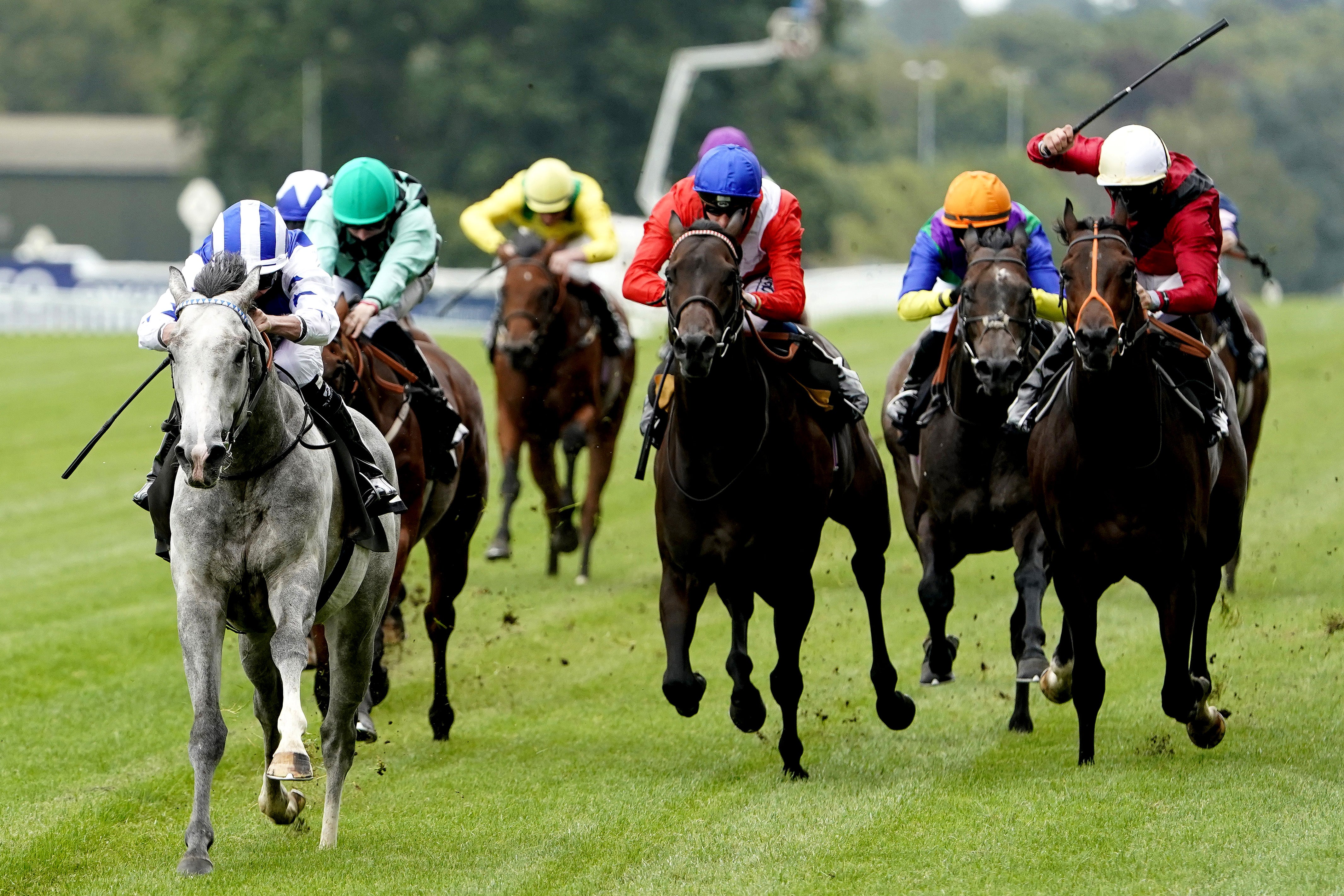 Dark Shift (grey) has had the Pavers Foundation Catherine Memorial Sprint Handicap as his target for some time