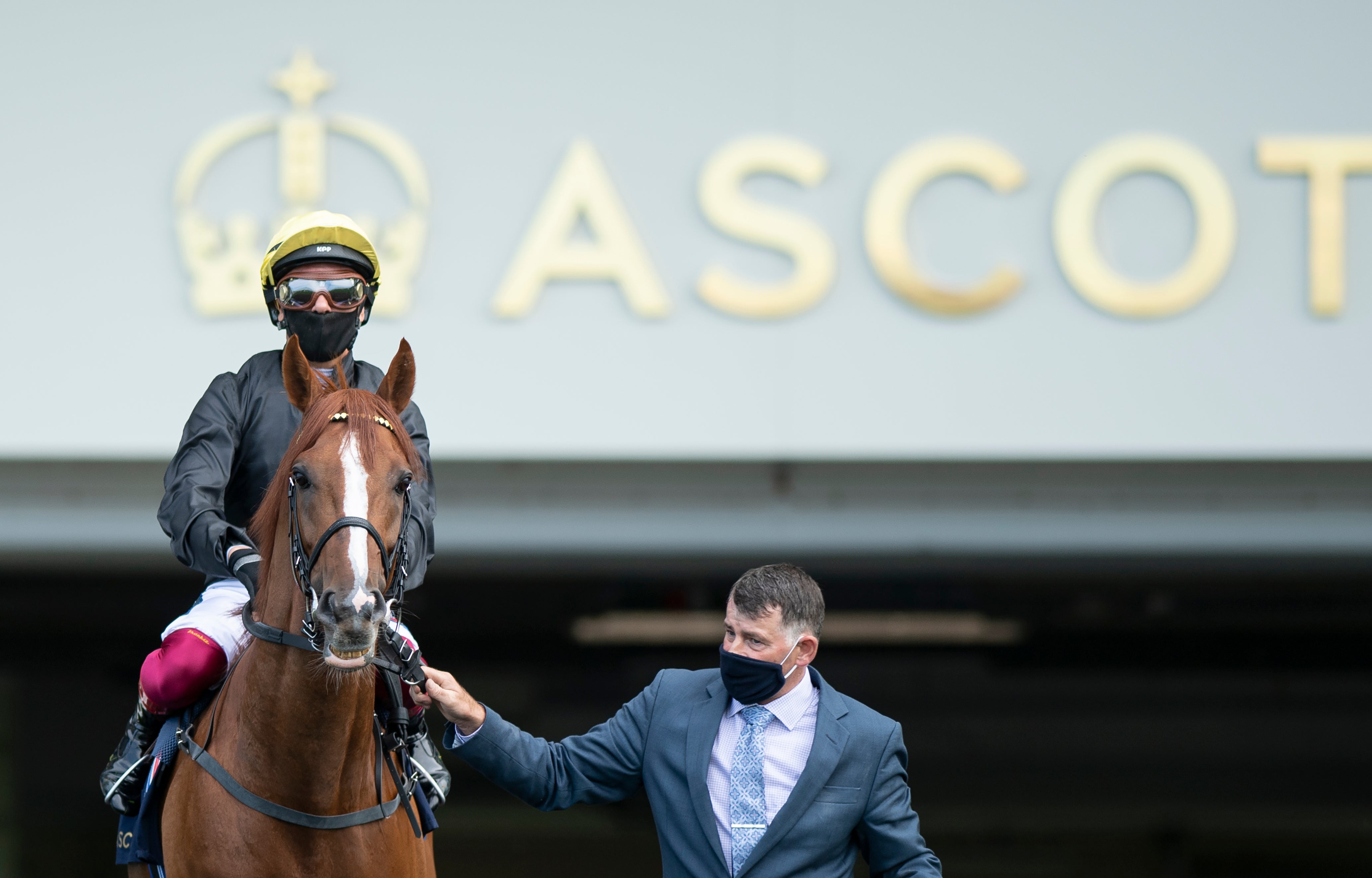 Stradivarius loves Ascot