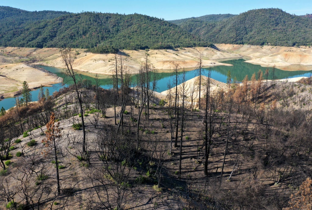 Trees burned by a recent wildfire line the steep banks of Lake Oroville earlier this month. California is in exceptional drought, the most severe level of dryness, with the state on high alert ahead of wildfire season