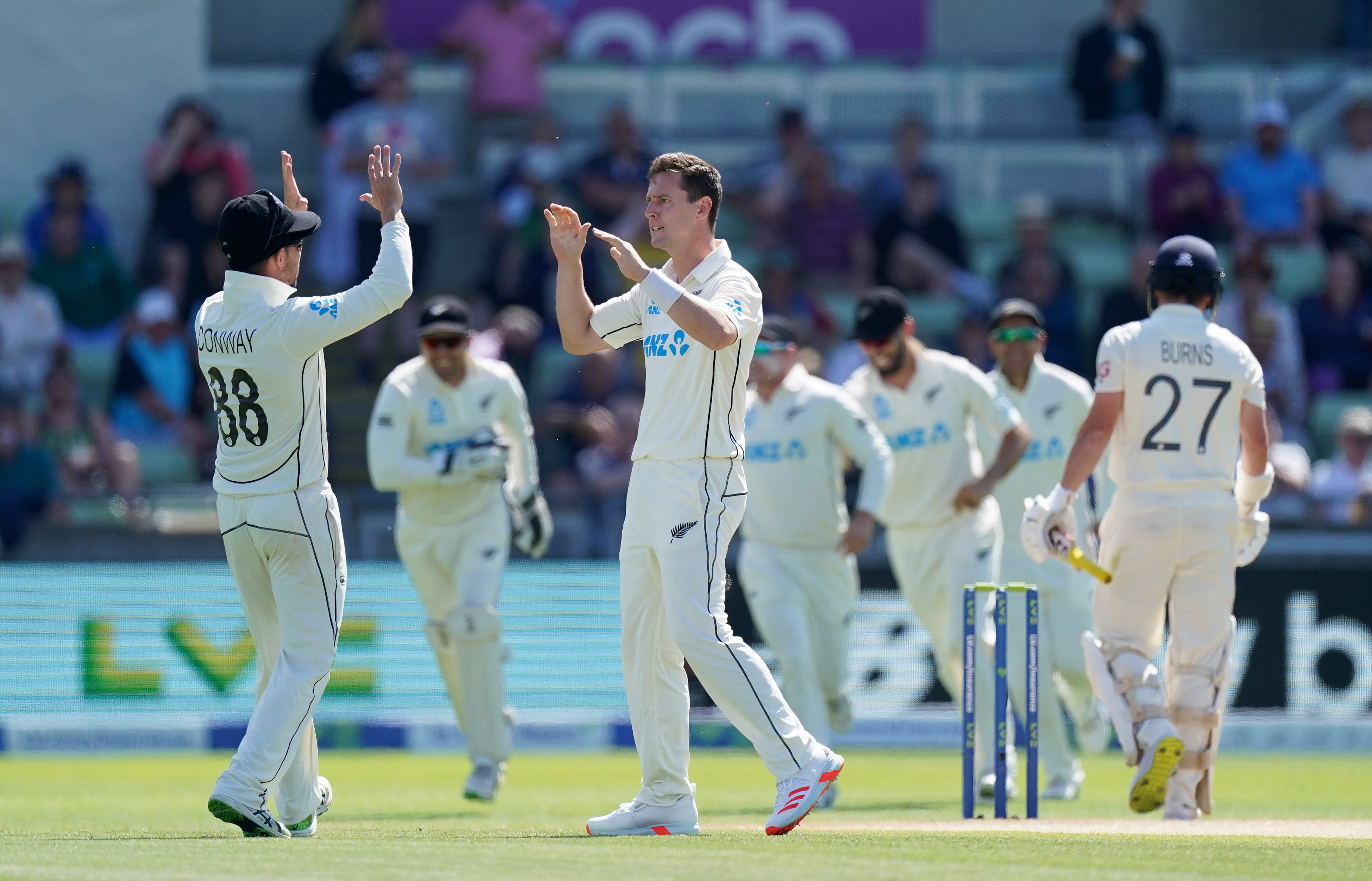 New Zealand celebrate