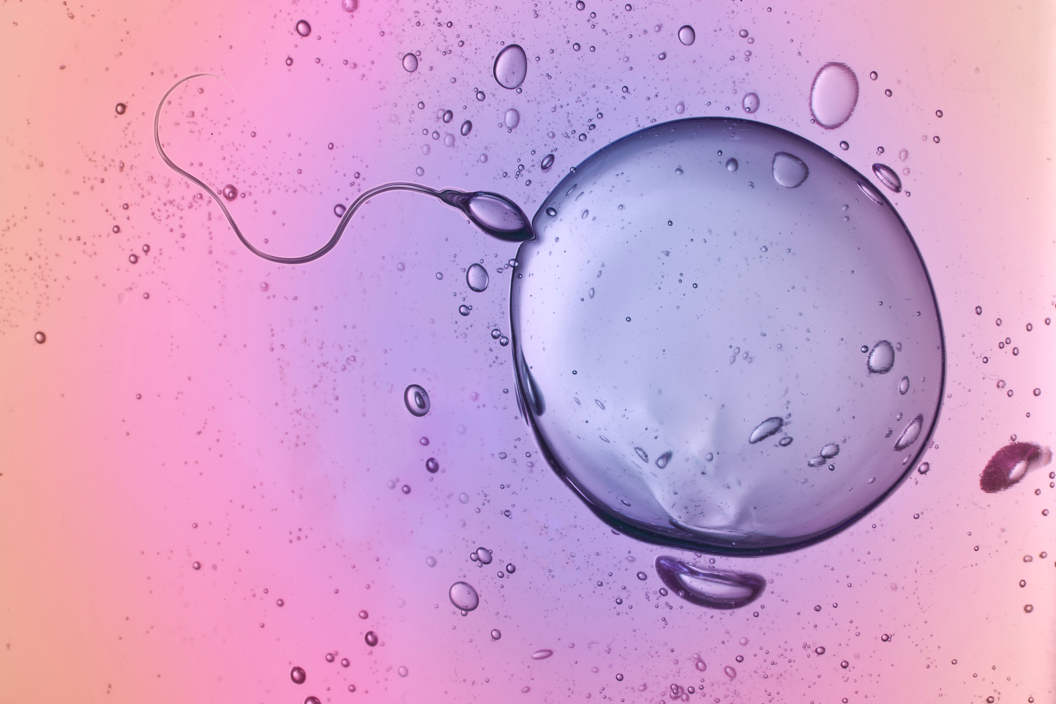 Lifestyle factors like obesity, alcohol, and smoking may be reducing global sperm counts