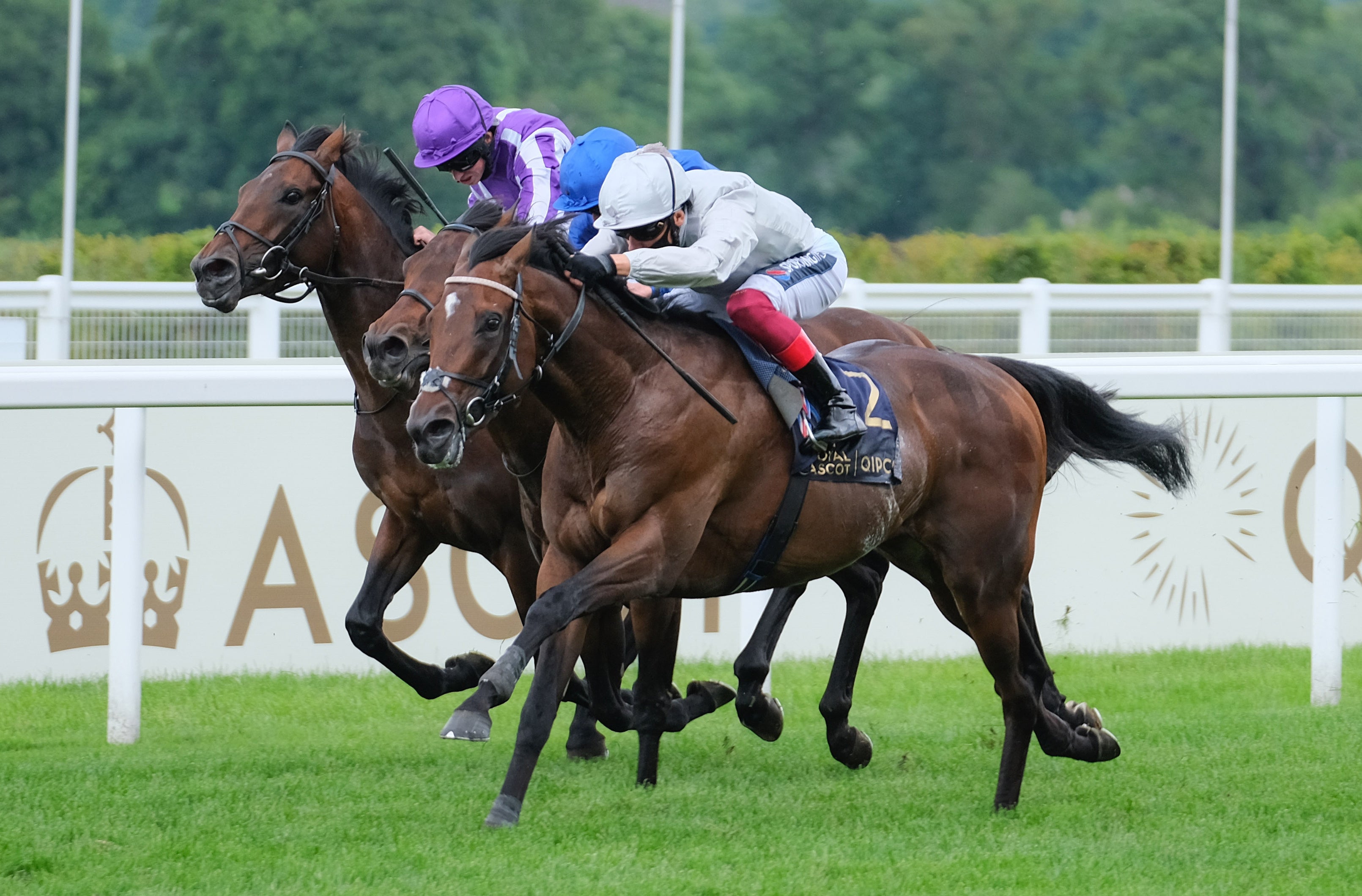 Palace Pier (right) on his way to winning at Royal Ascot last year