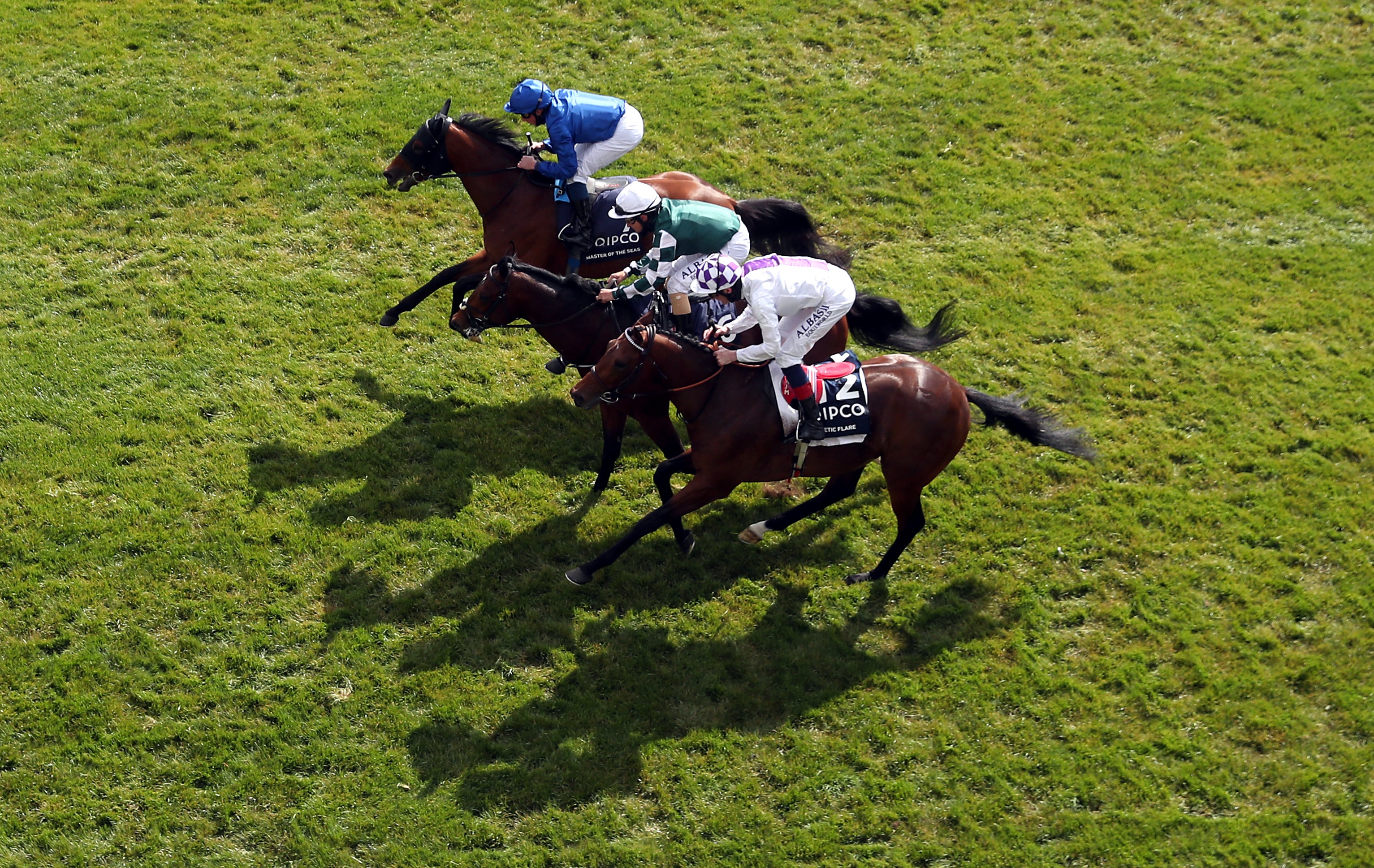 Poetic Flare will try to add the St James's Palace Stakes to this narrow triumph in the 2000 Guineas