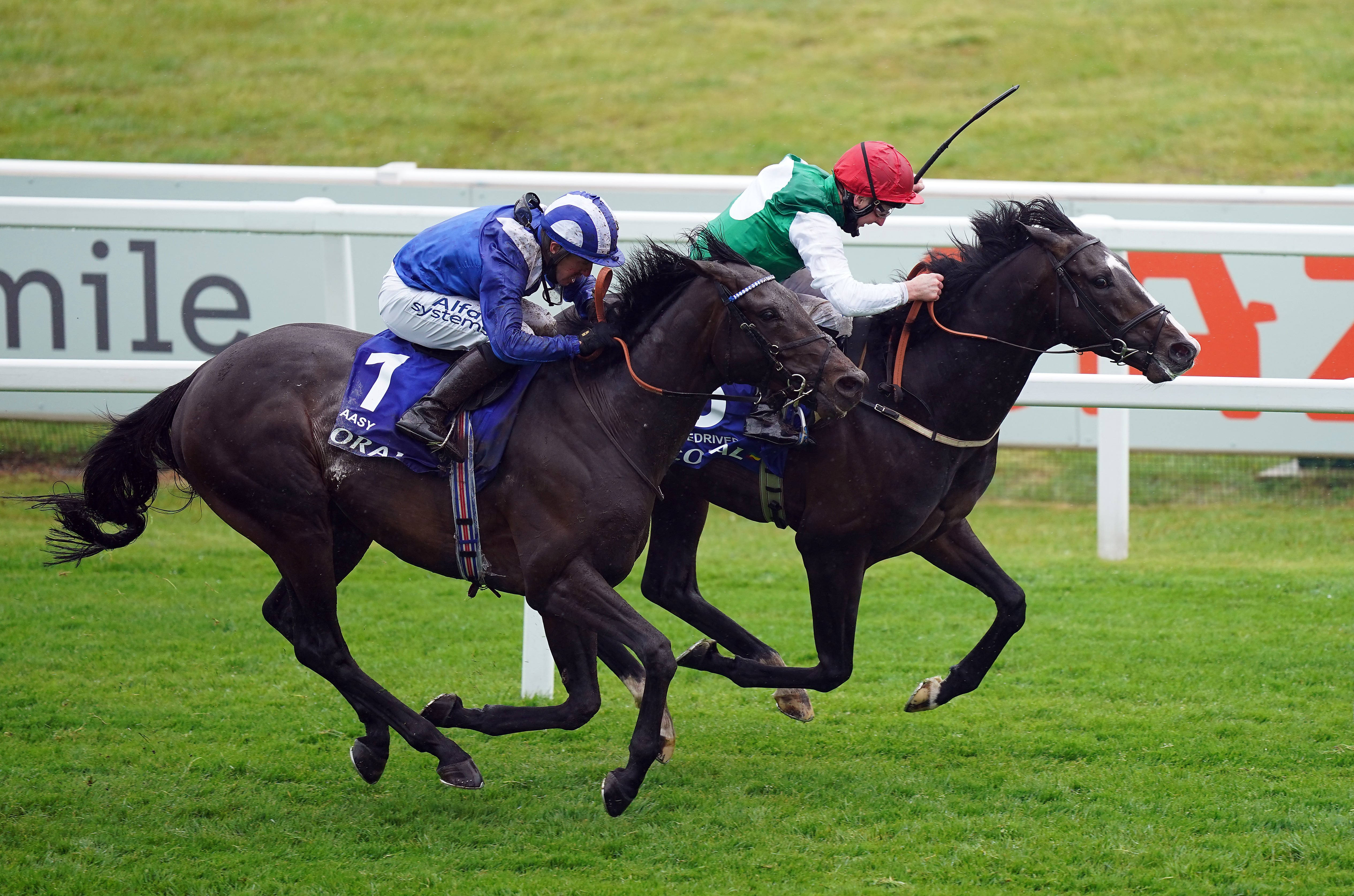 Al Aasy went close in the Coronation Cup