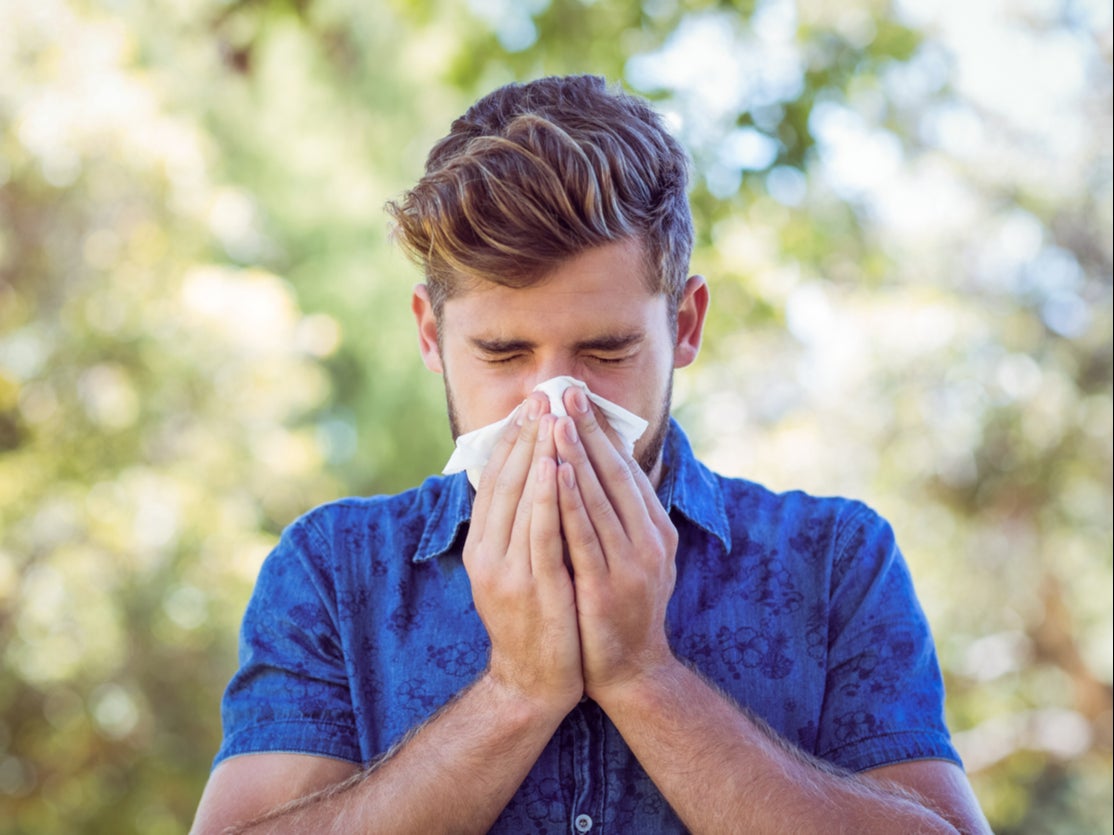 Hay fever is an allergic reaction to pollen or dust