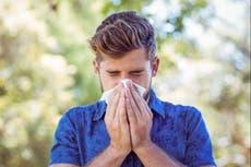 Why is hay fever so bad this year?